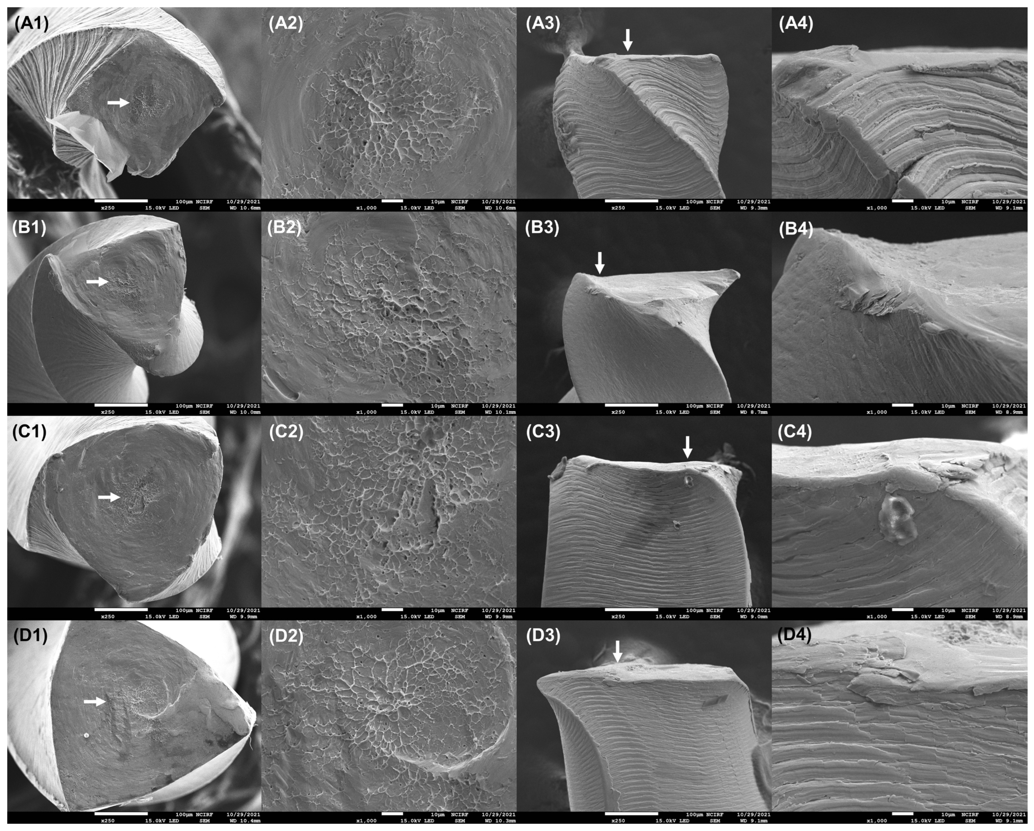 Applsci 12 10393 g004 Applsci 12 10393 g004