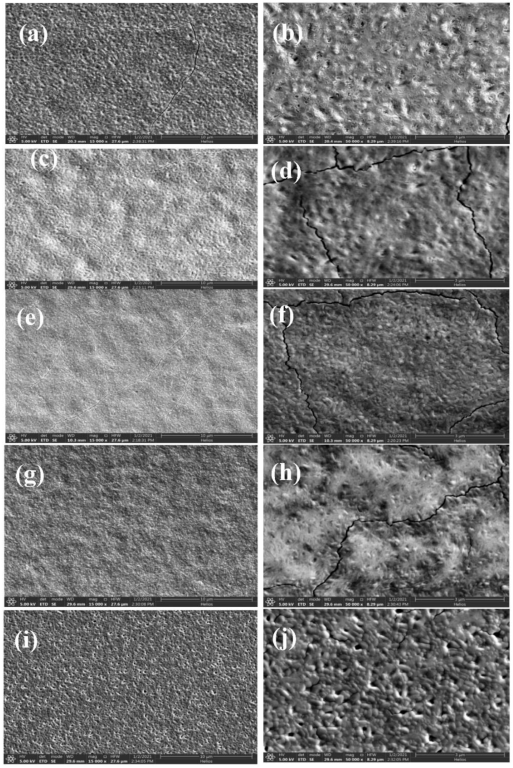 Applsci 12 10454 g003