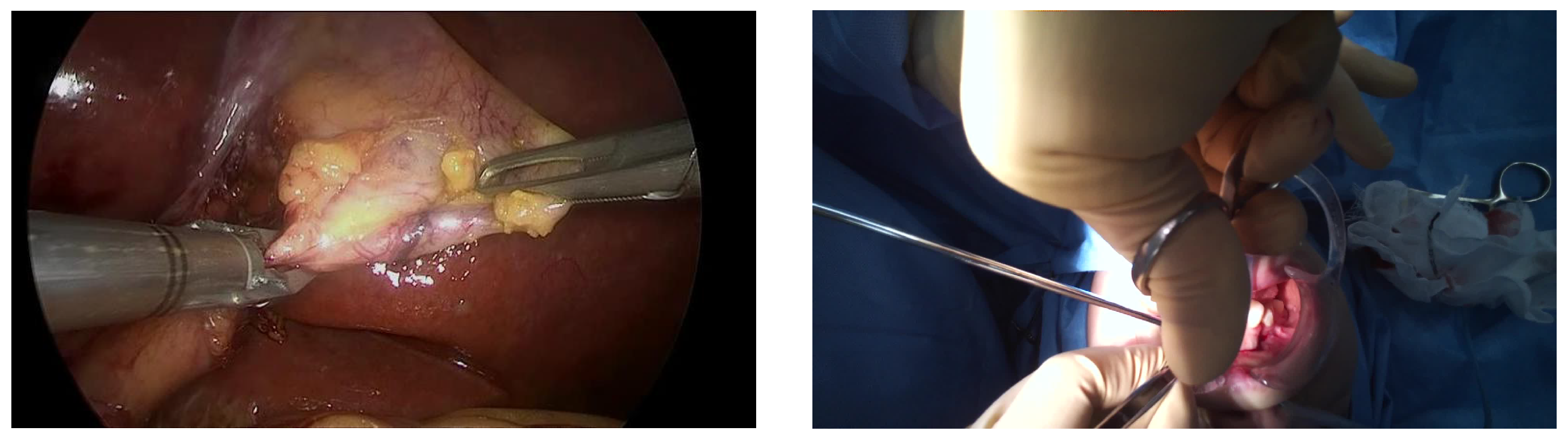 Applsci 12 10473 g005