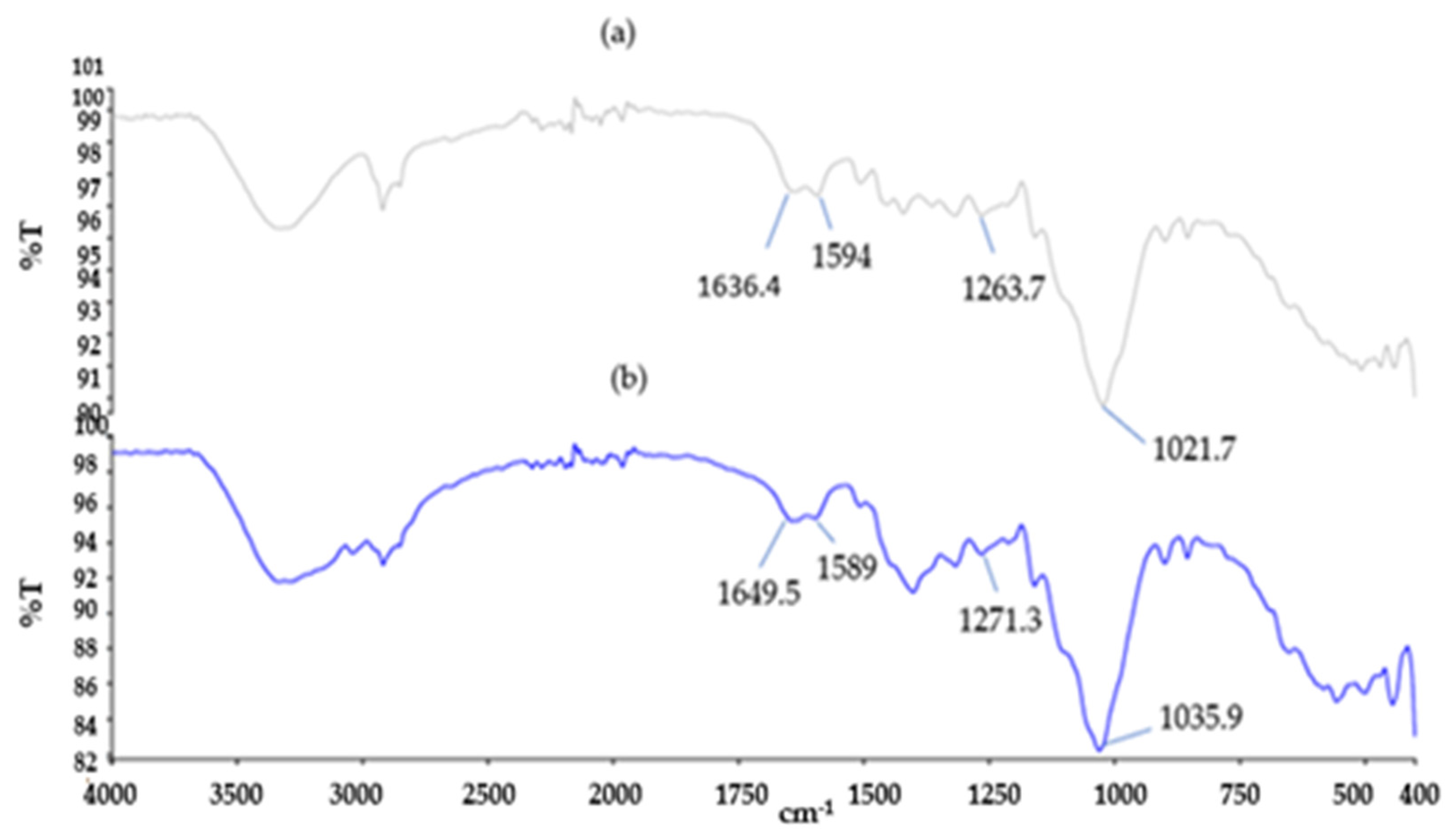 Applsci 12 10540 g010 Applsci 12 10540 g010