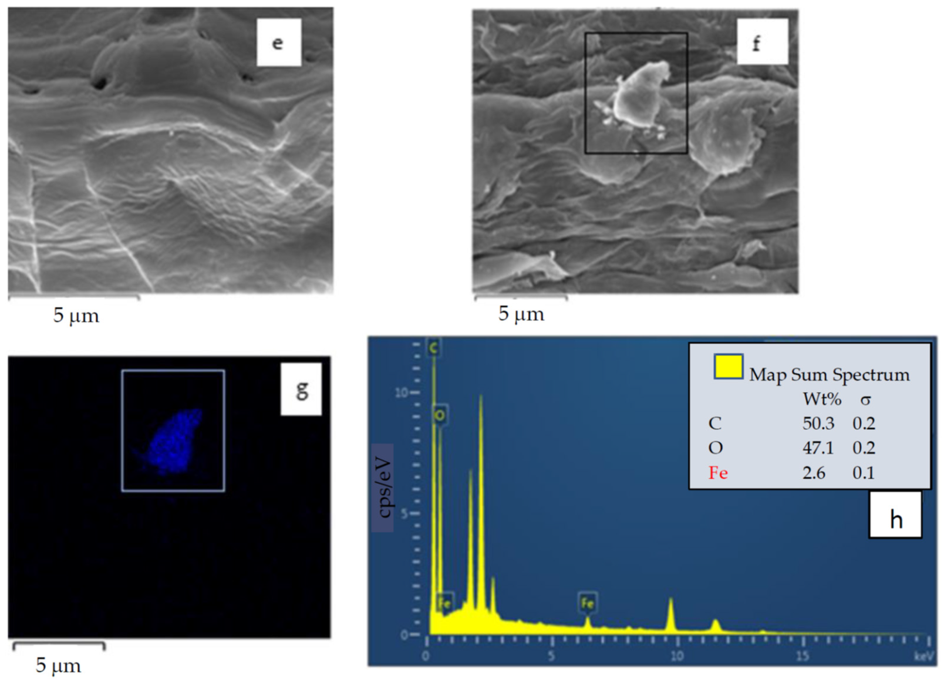 Applsci 12 10540 g011b Applsci 12 10540 g011b