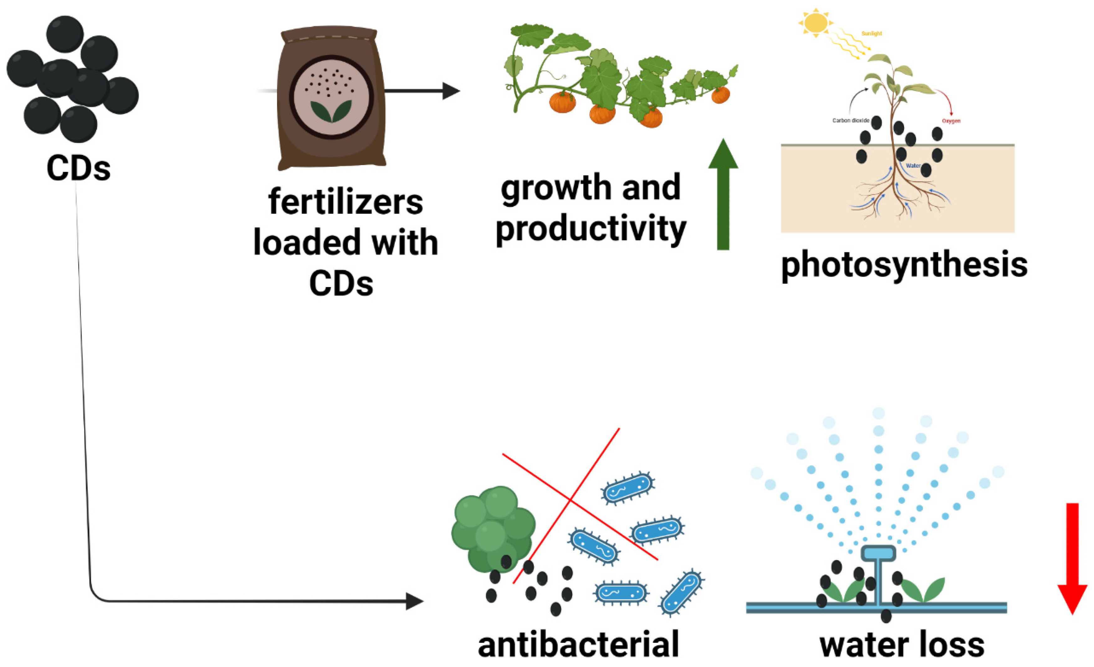 Applsci 12 10565 g003 Applsci 12 10565 g003