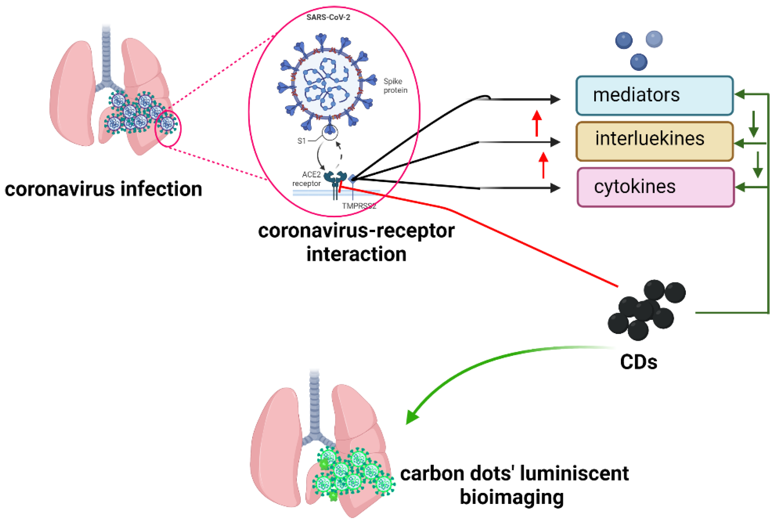 Applsci 12 10565 g004 Applsci 12 10565 g004