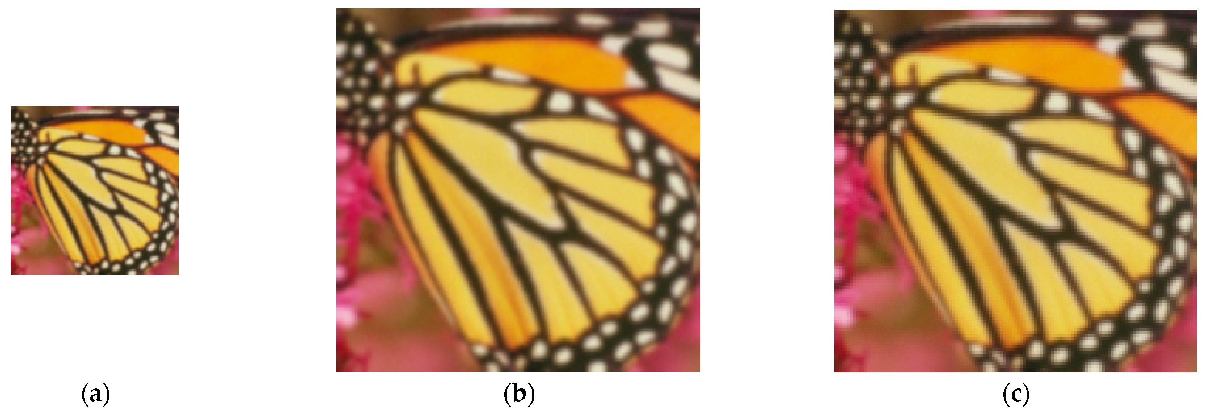 Applsci 12 10606 g006a