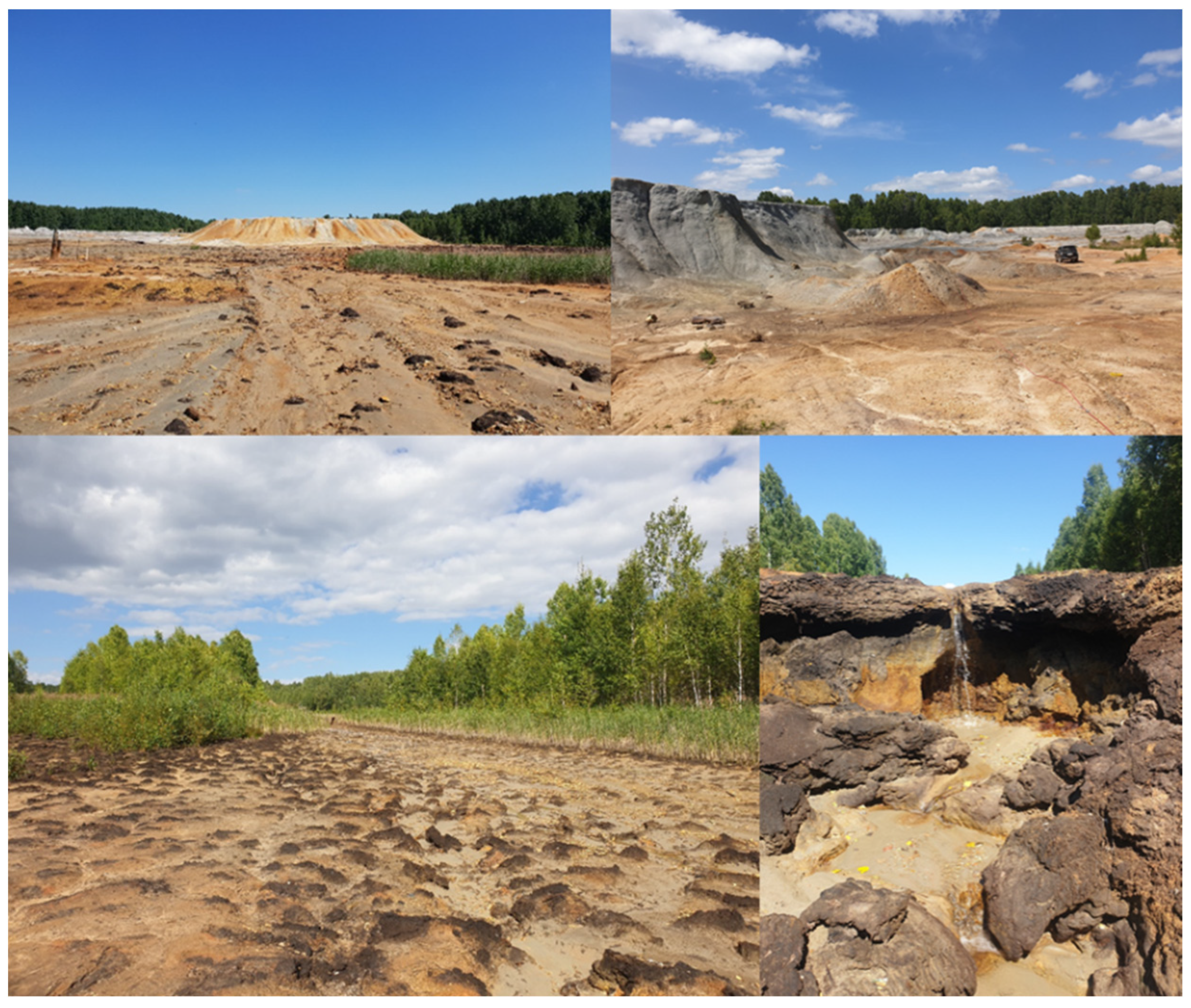 Applsci 12 10610 g002 Applsci 12 10610 g002