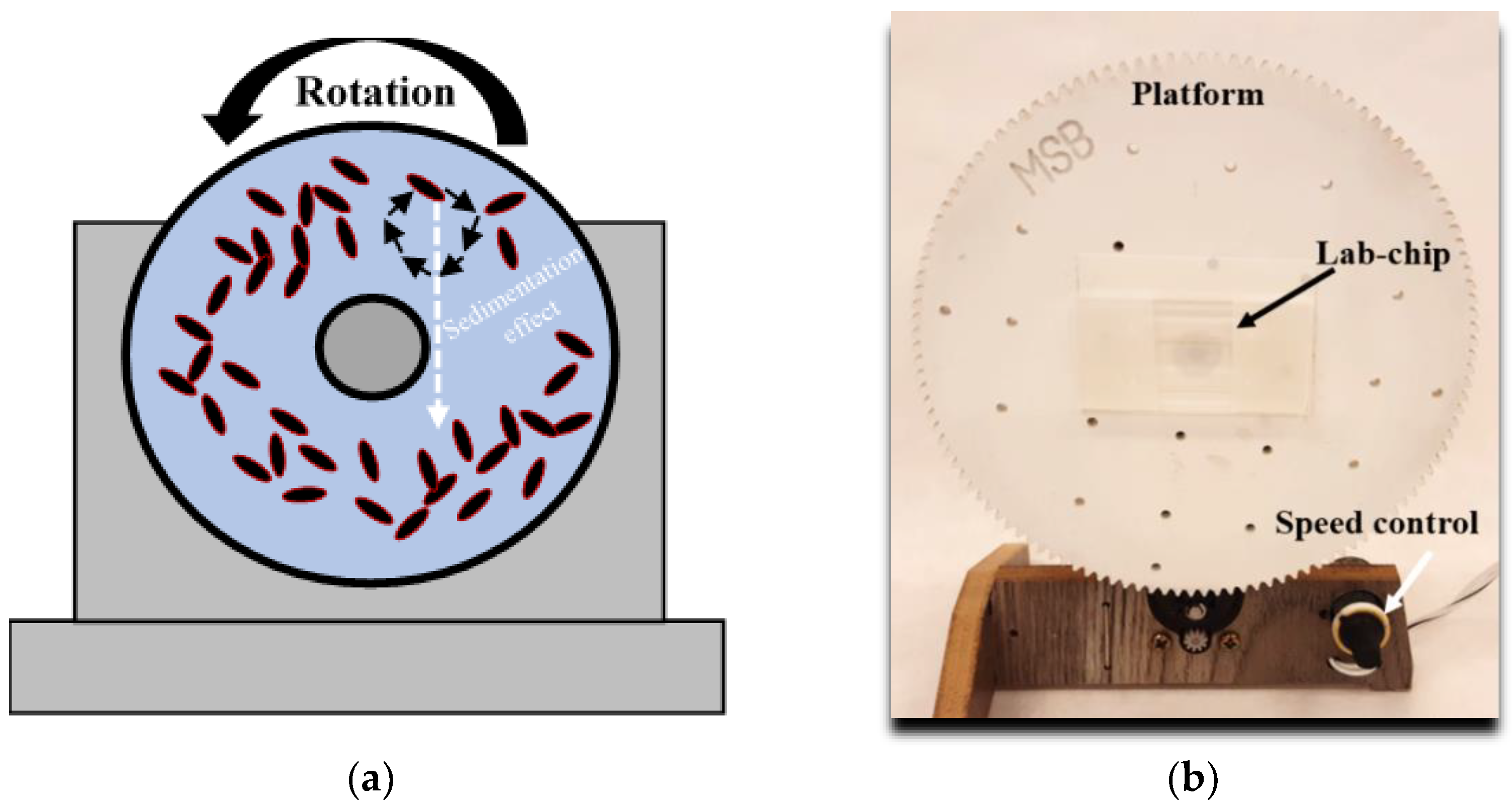 Applsci 12 10627 g006