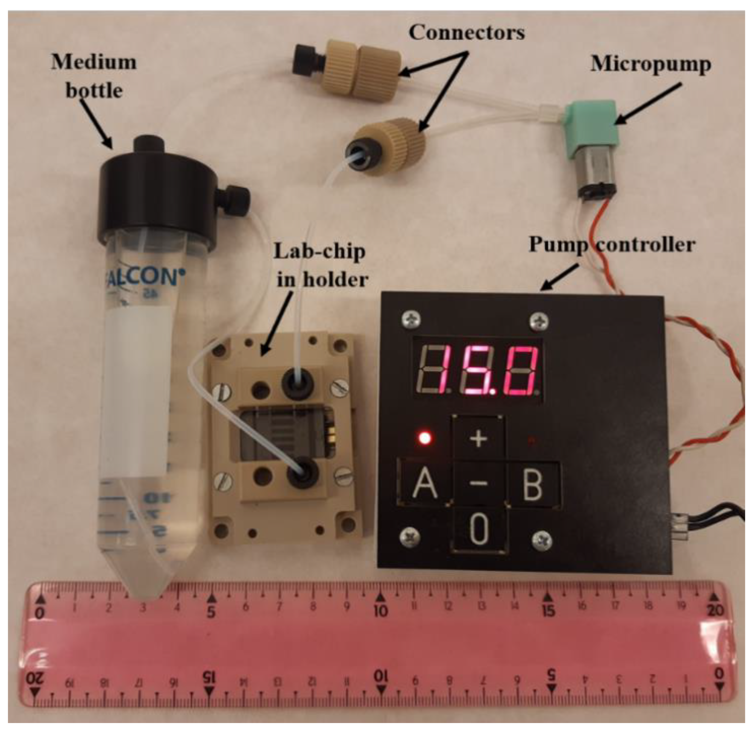 Applsci 12 10627 g008