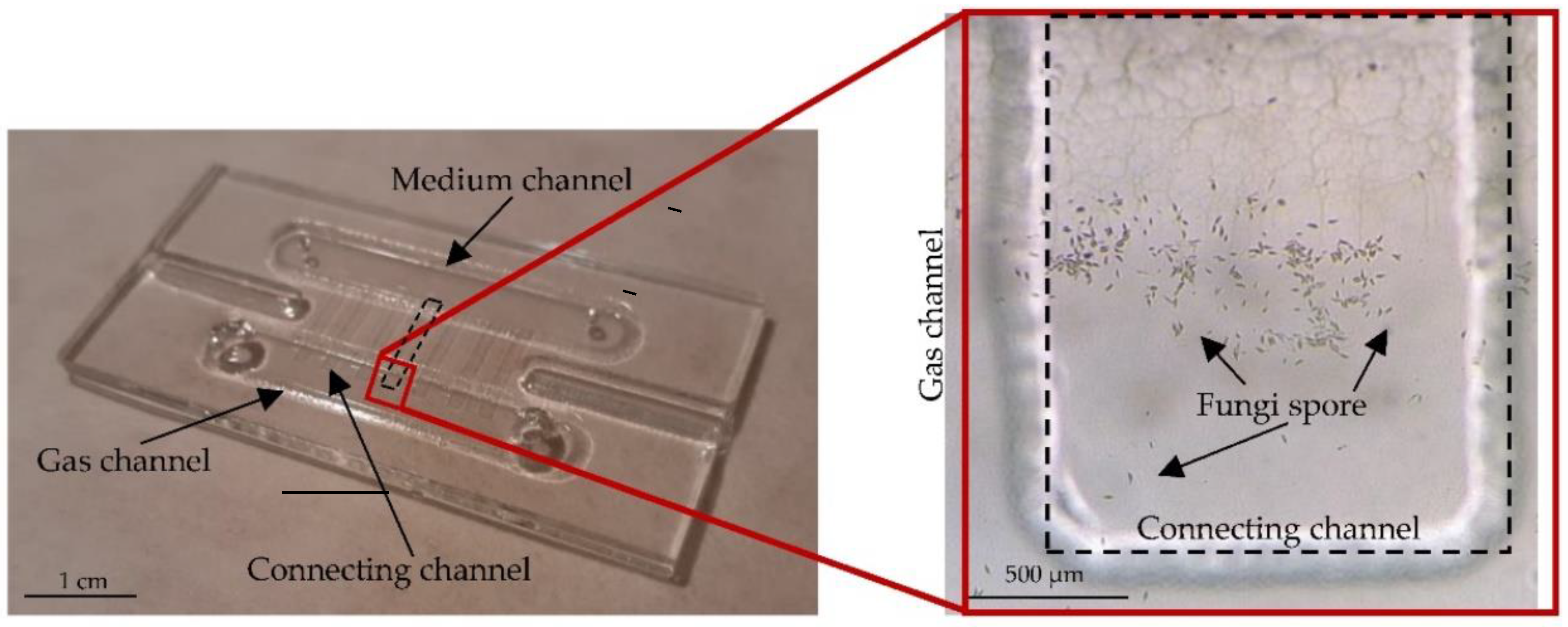 Applsci 12 10627 g009