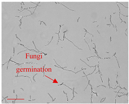 Applsci 12 10627 i003