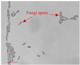 Applsci 12 10627 i010