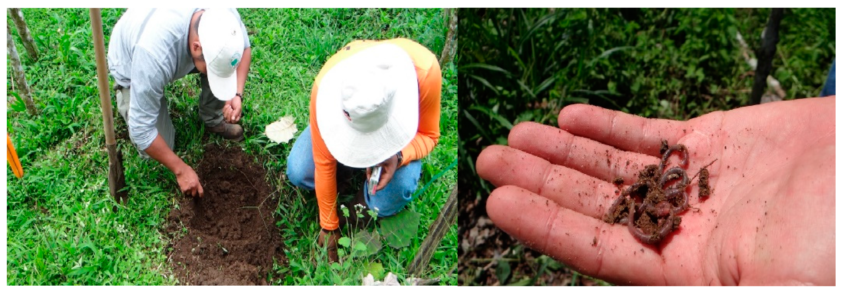 Applsci 12 10637 g002