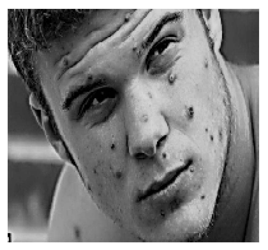 Applsci 12 10642 g006