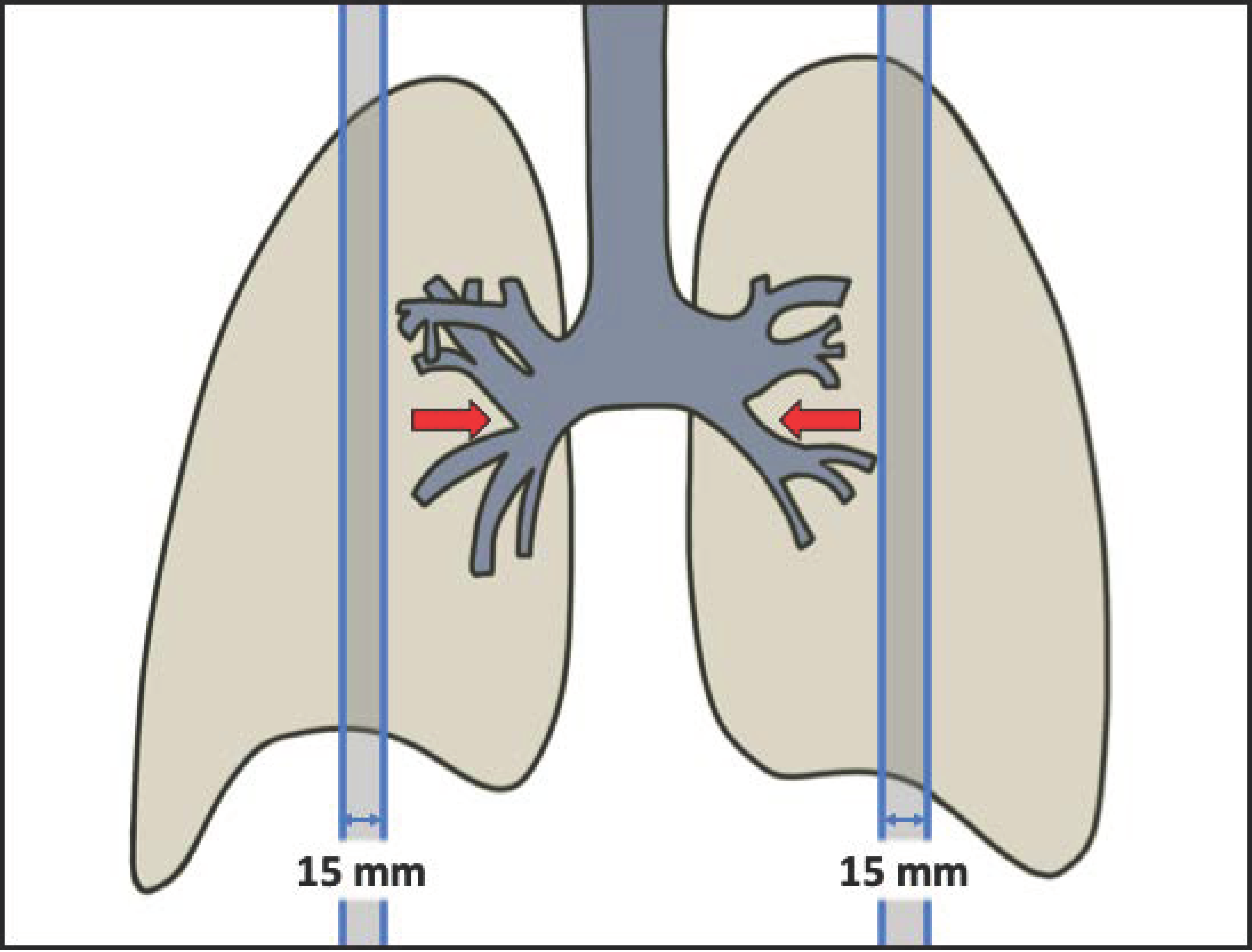 Applsci 12 10647 g001 Applsci 12 10647 g001