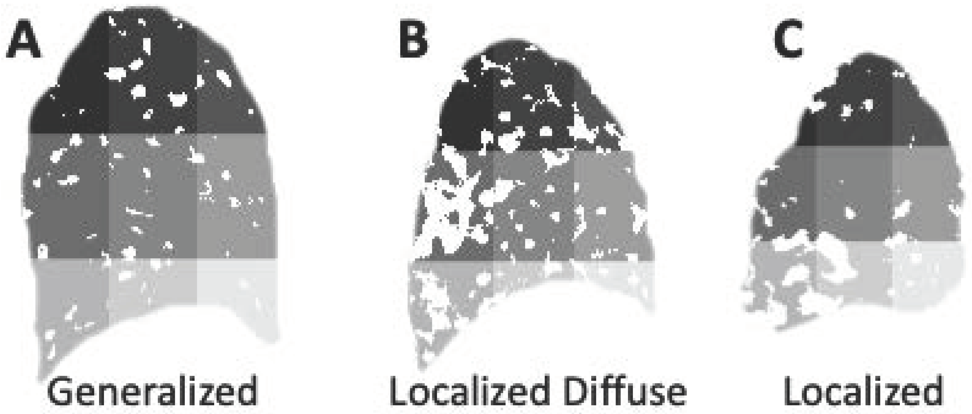 Applsci 12 10647 g010 Applsci 12 10647 g010