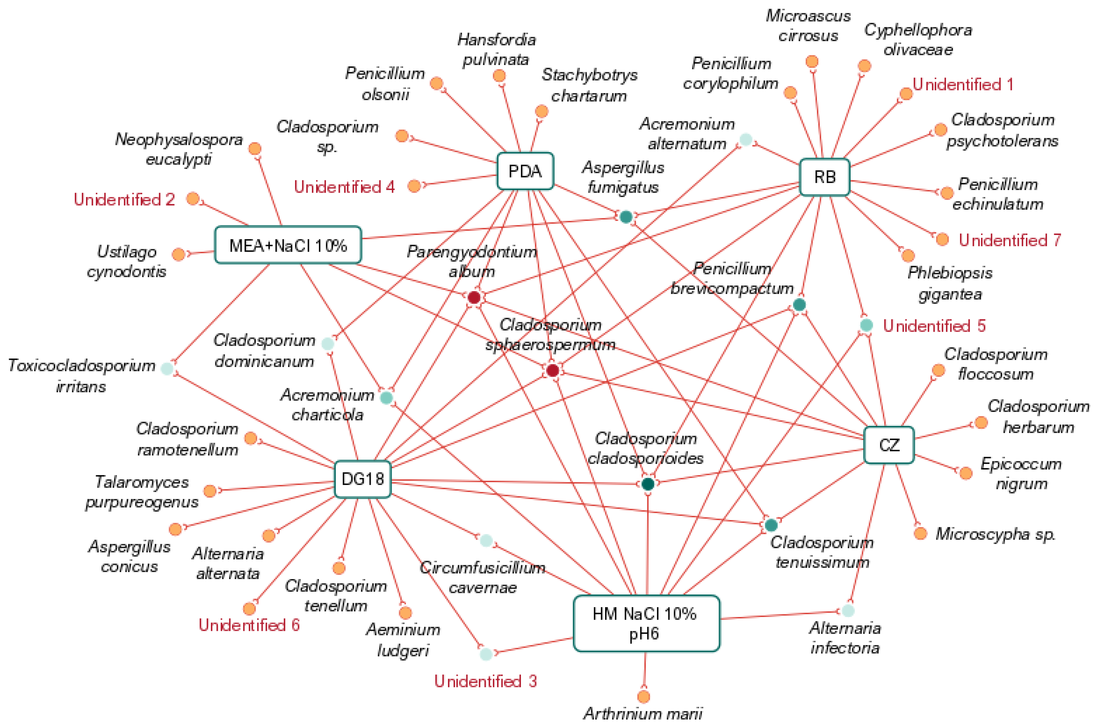 Applsci 12 10650 g011 Applsci 12 10650 g011