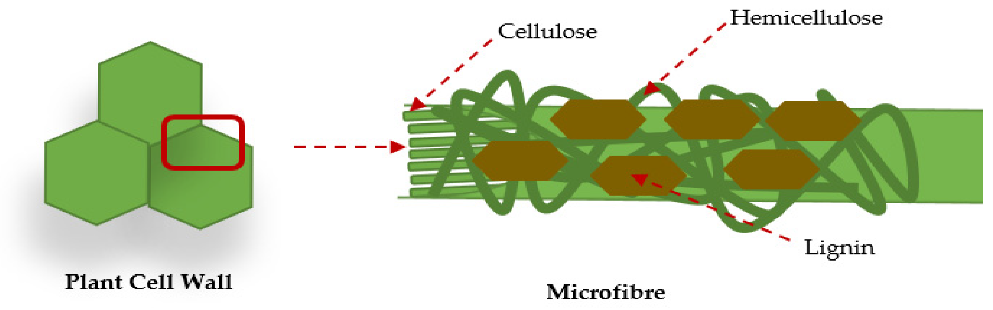 Applsci 12 10669 g001