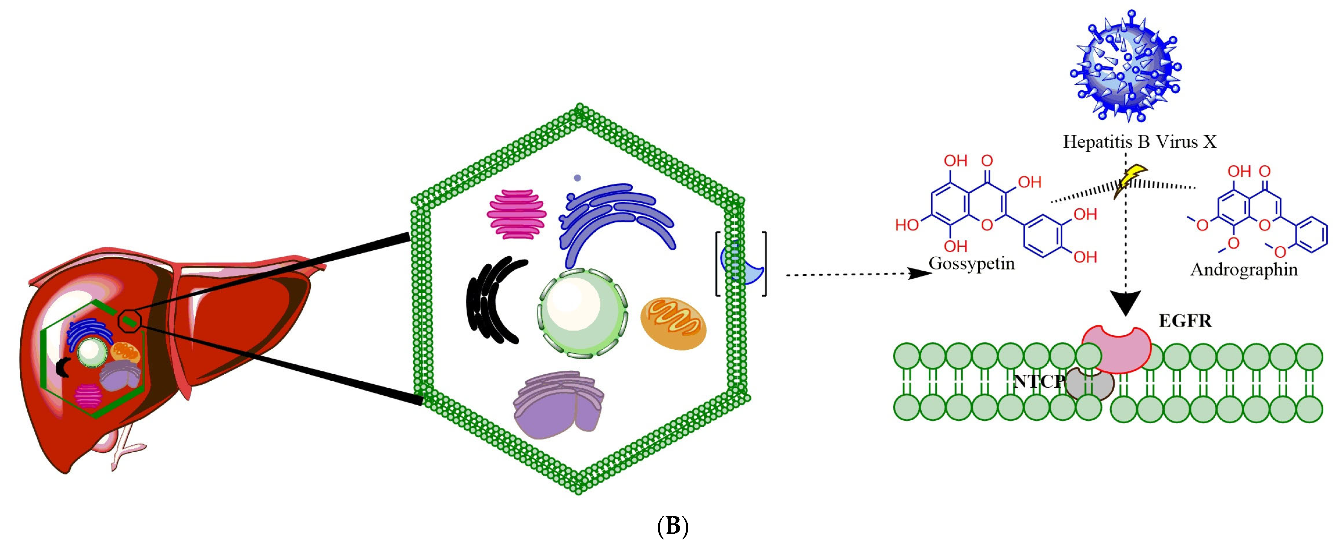 Applsci 12 10691 g001b Applsci 12 10691 g001b