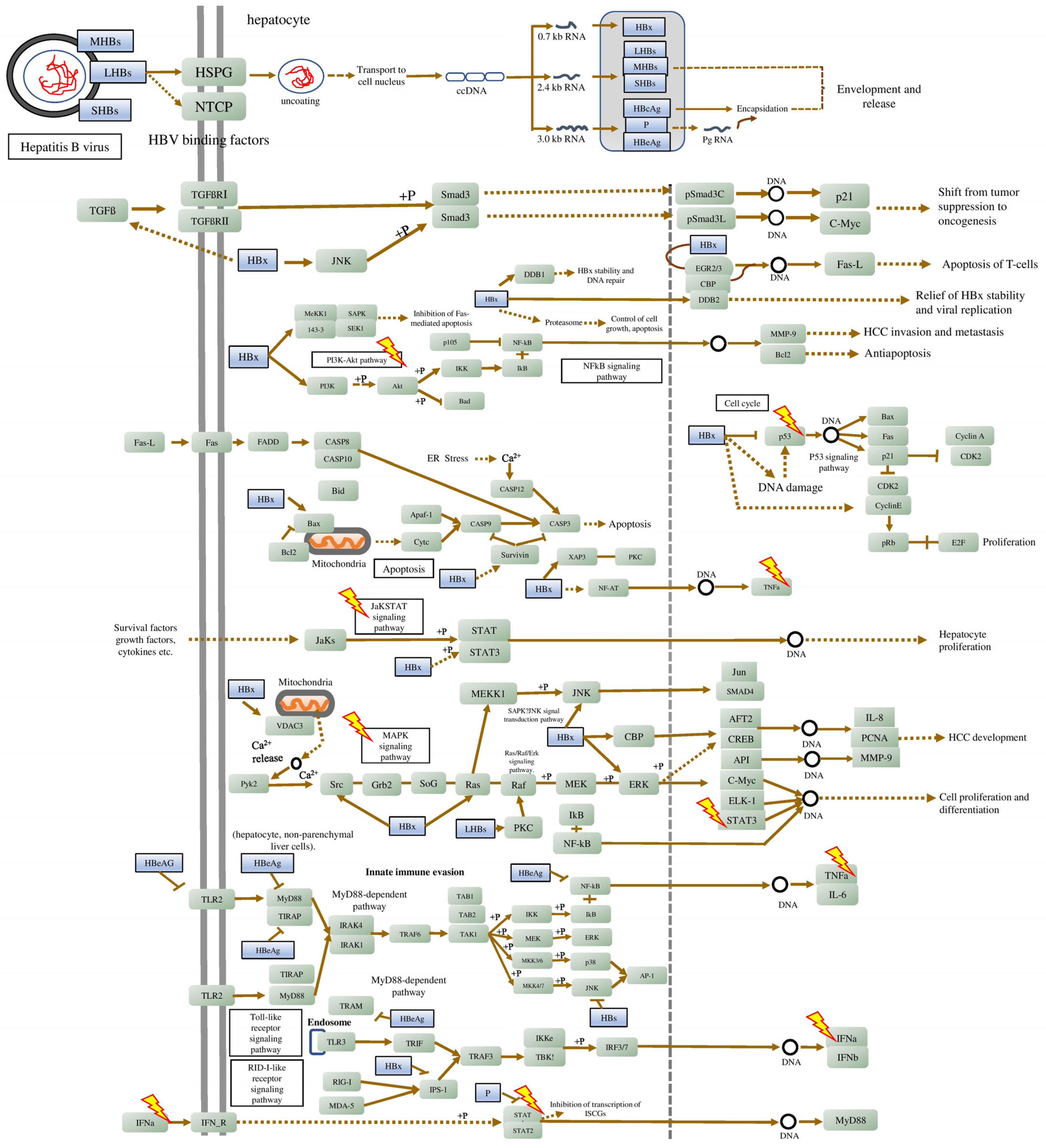 Applsci 12 10691 g004 Applsci 12 10691 g004