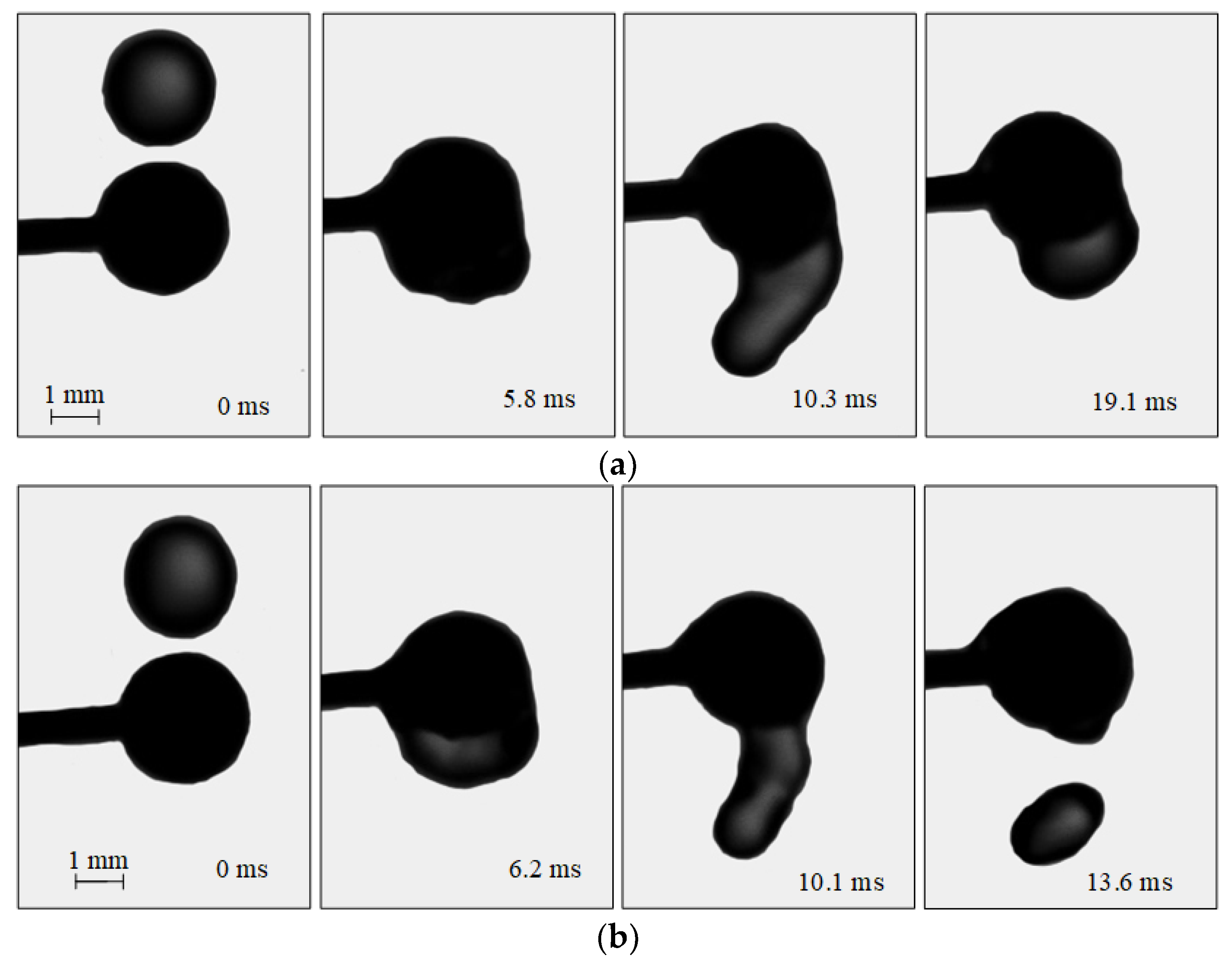 Applsci 12 10747 g003 Applsci 12 10747 g003