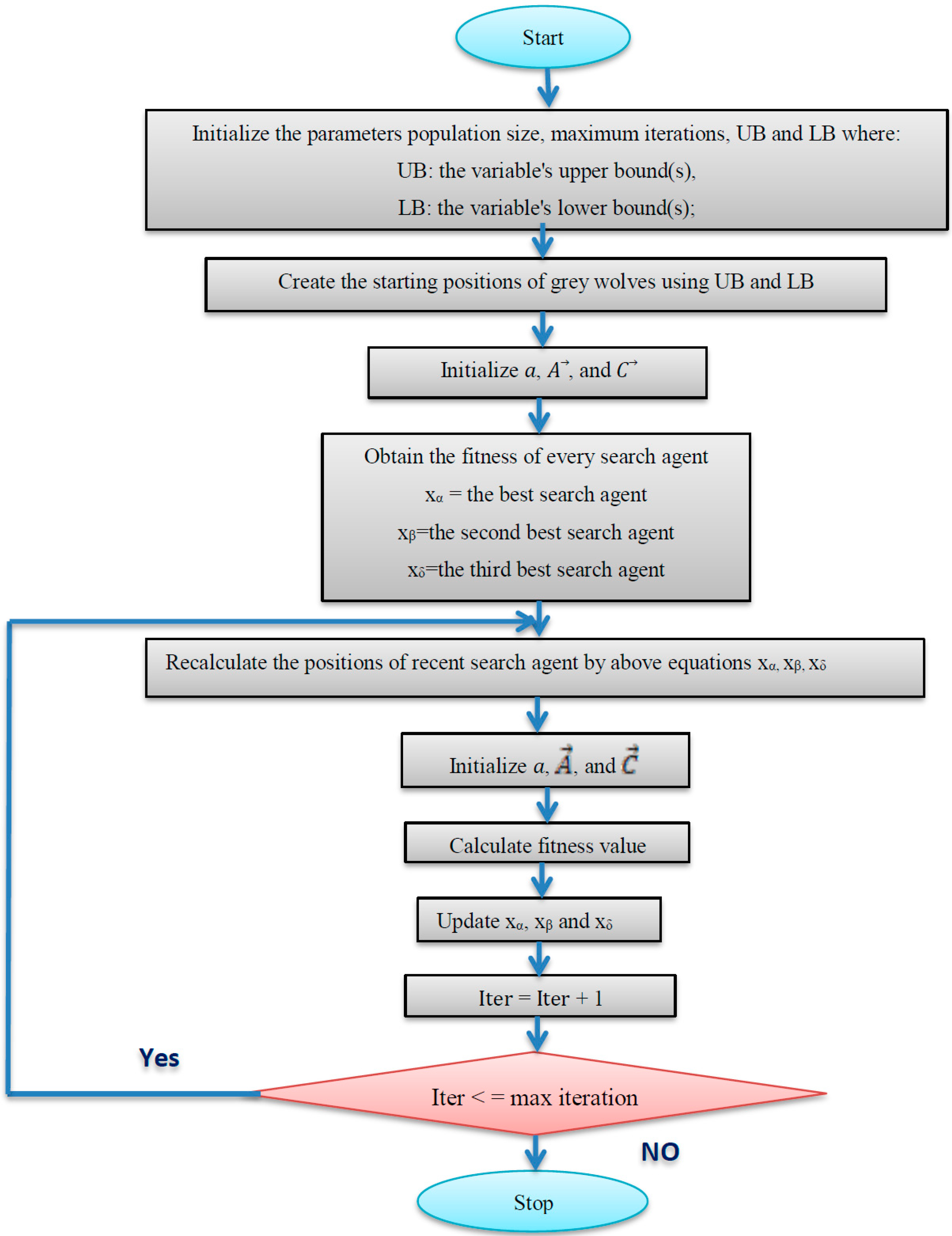 Lia Wolf'S X Algorithm: Optimizing For Success - 79fkm4j