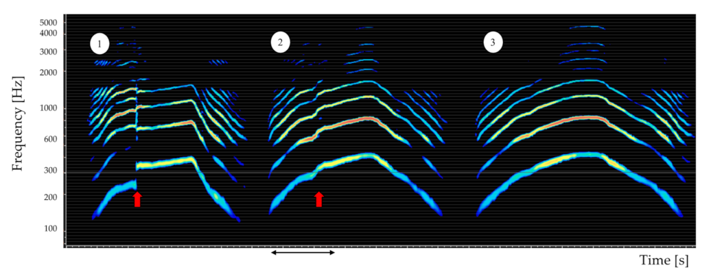 Applsci 12 10781 g017 Applsci 12 10781 g017