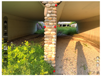 Applsci 12 10798 i007