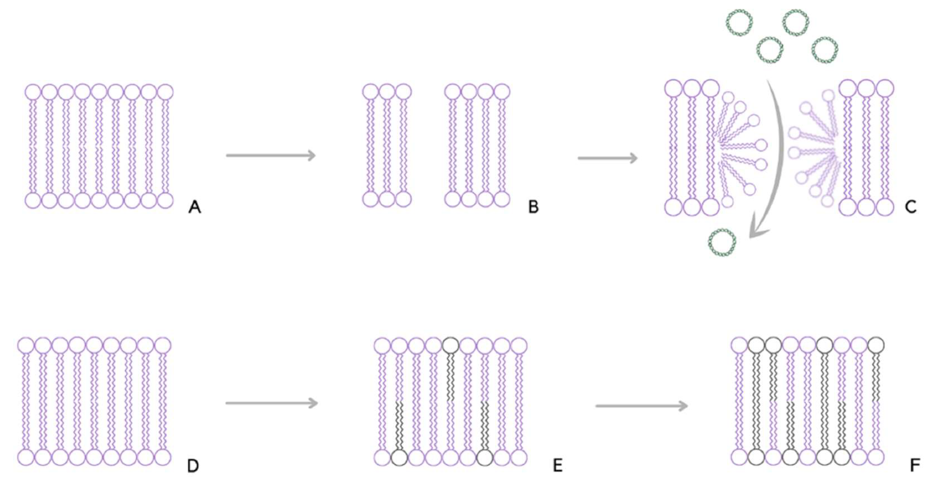 Applsci 12 10821 g001 Applsci 12 10821 g001