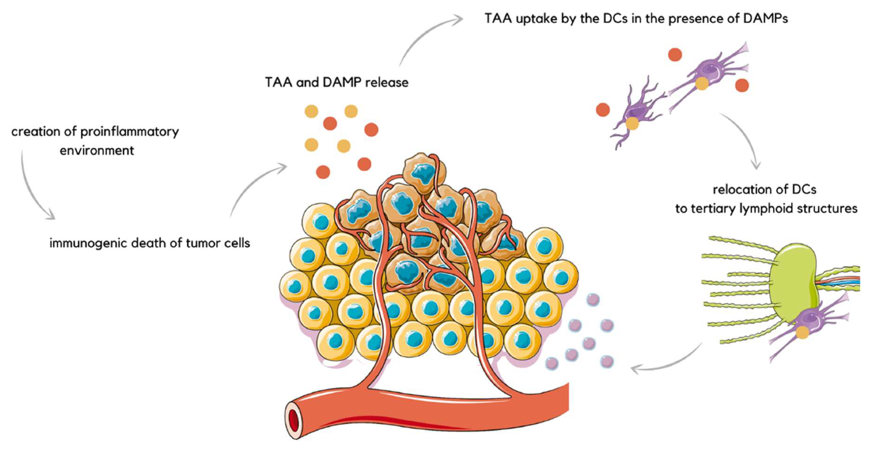 Applsci 12 10821 g004 Applsci 12 10821 g004