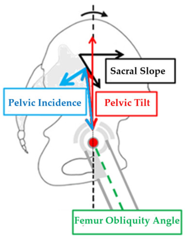 Applsci 12 10830 g004