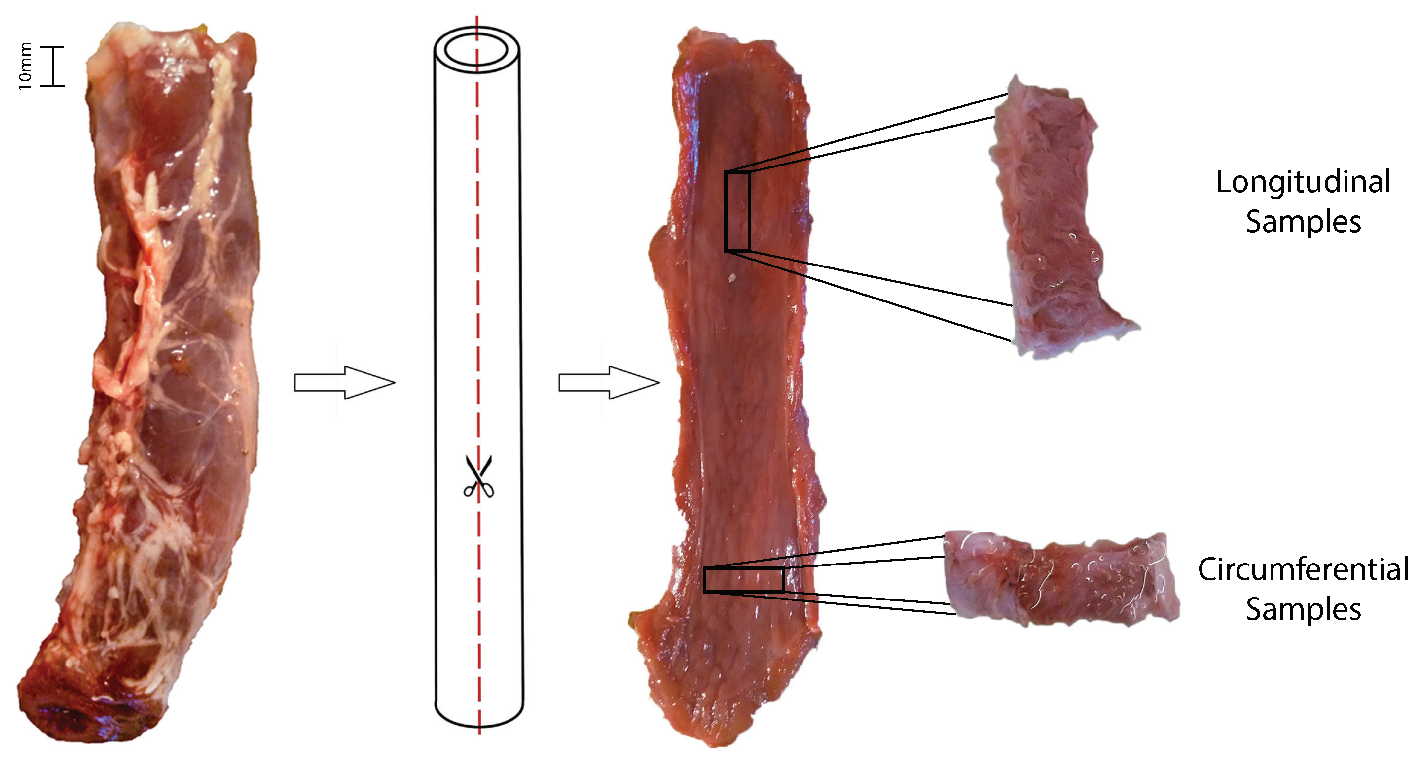 Applsci 12 10842 g003