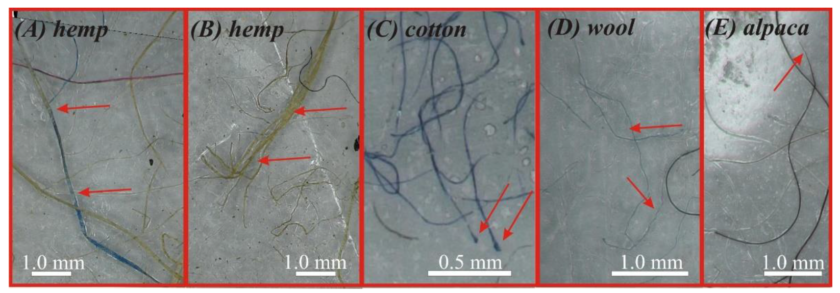 Applsci 12 10852 g002