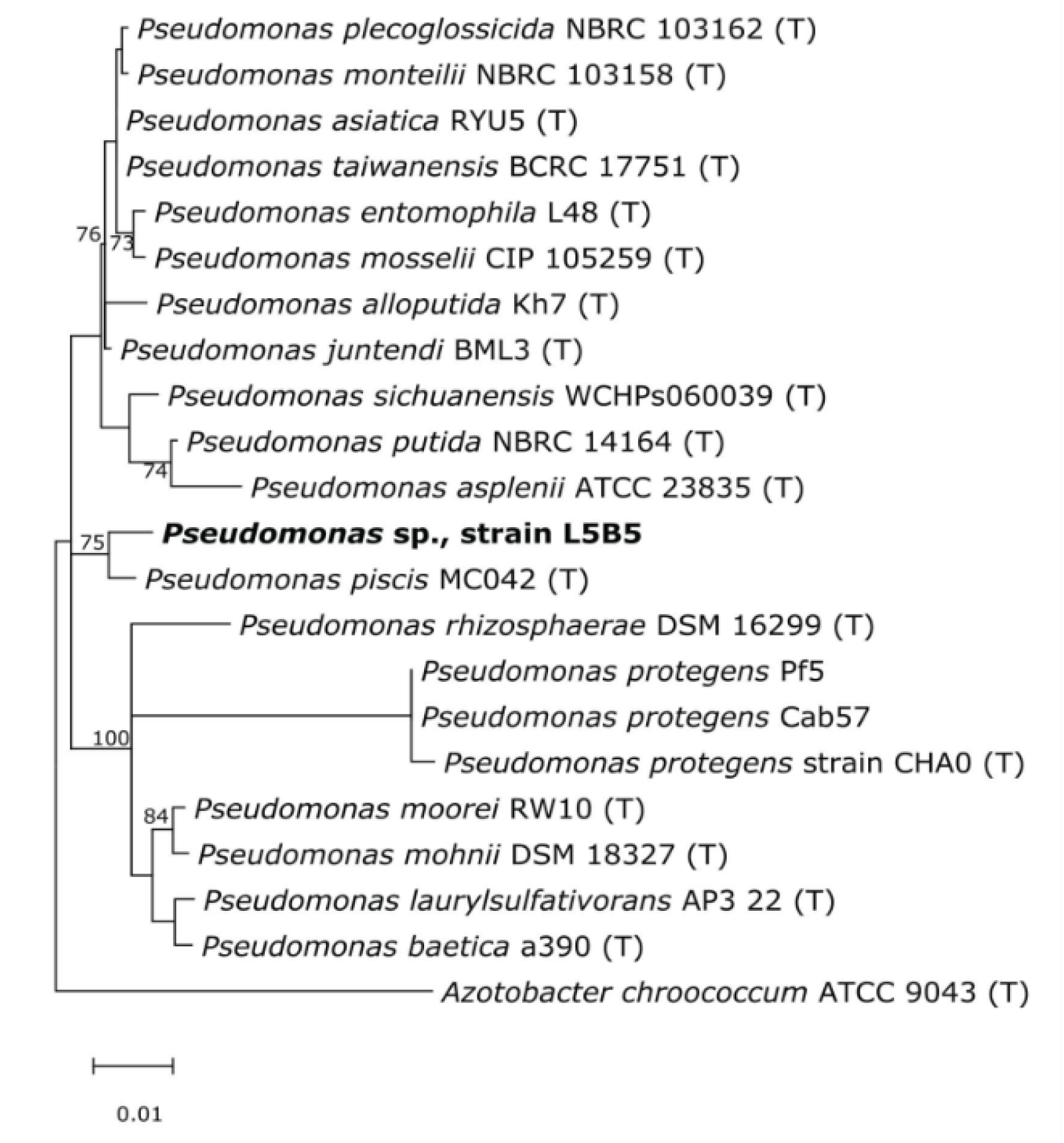 Applsci 12 10854 g004 Applsci 12 10854 g004