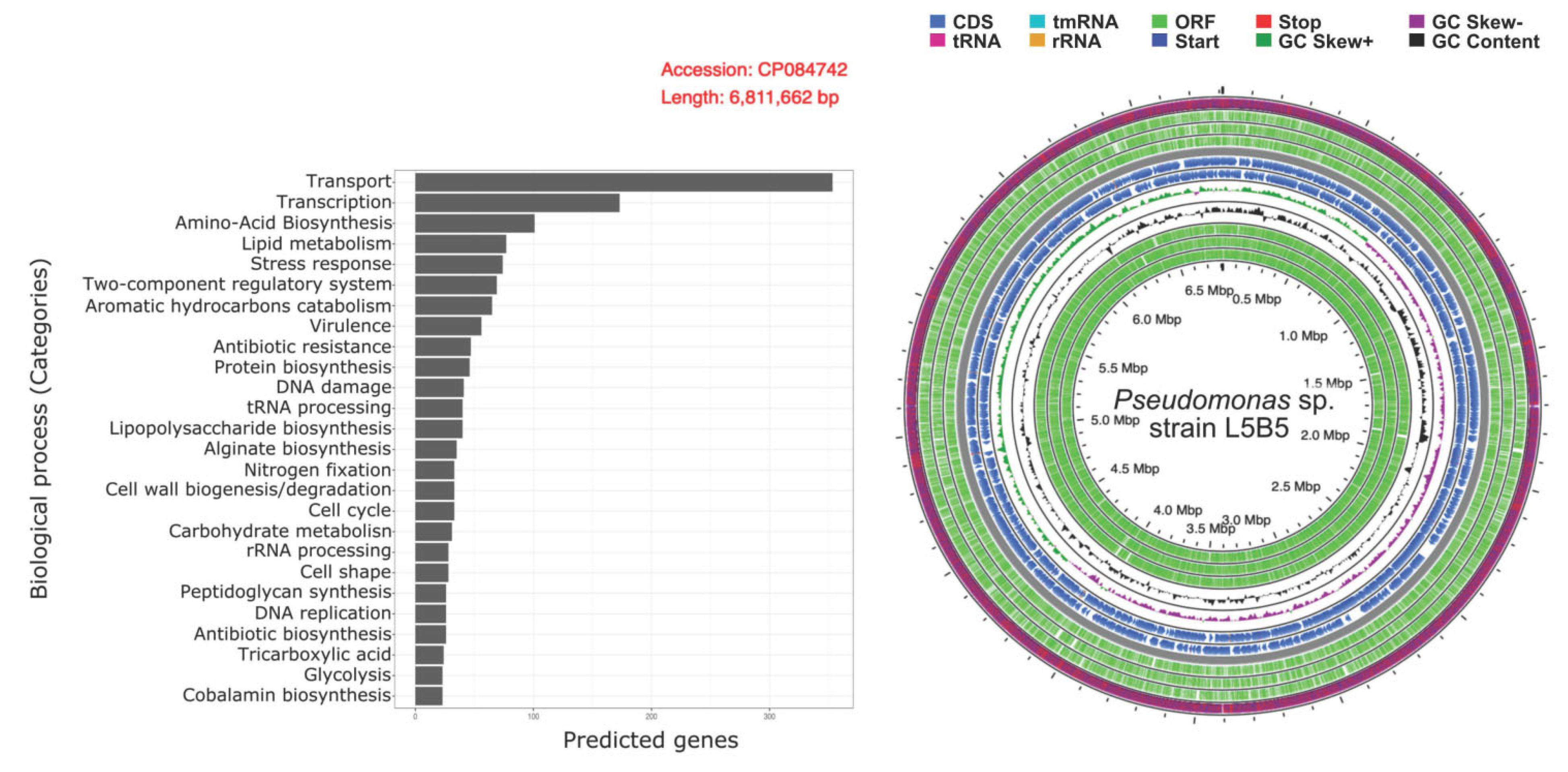 Applsci 12 10854 g005 Applsci 12 10854 g005
