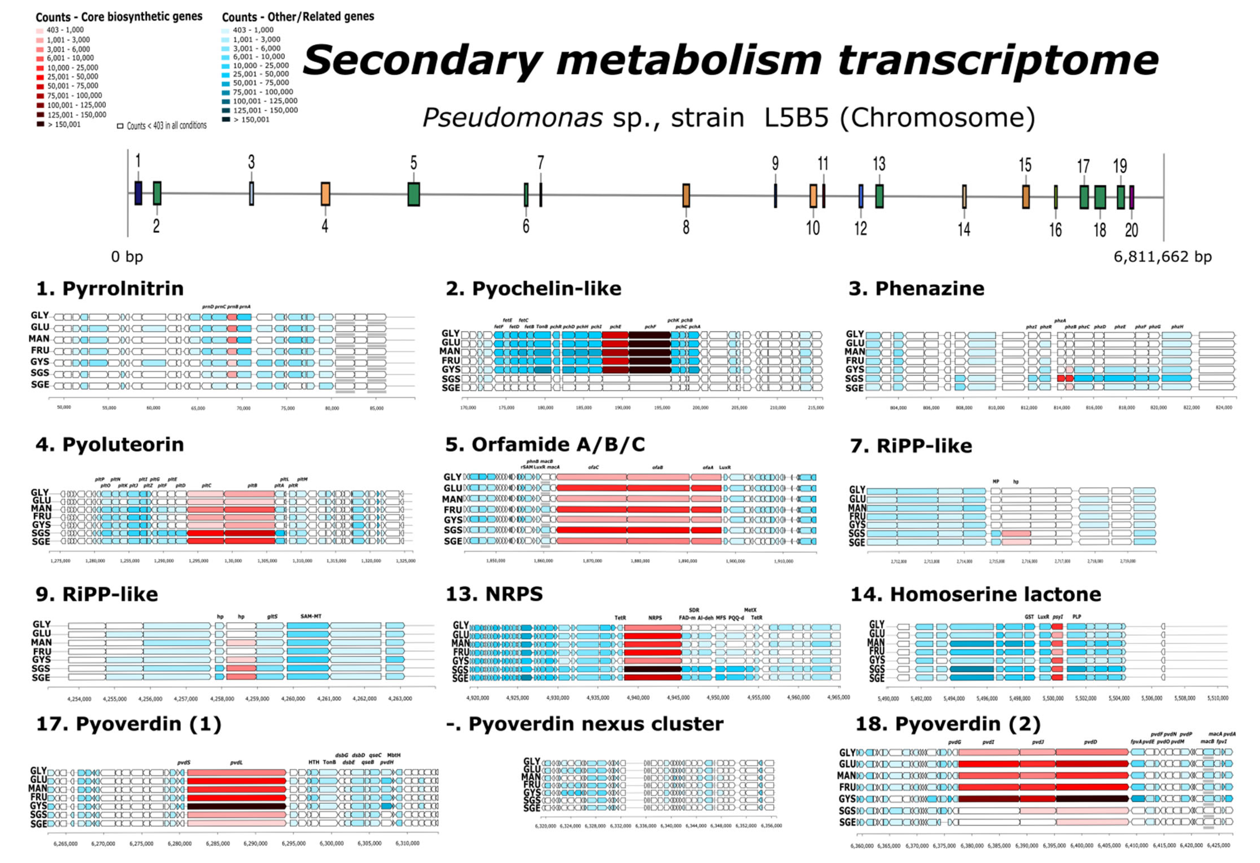 Applsci 12 10854 g008 Applsci 12 10854 g008