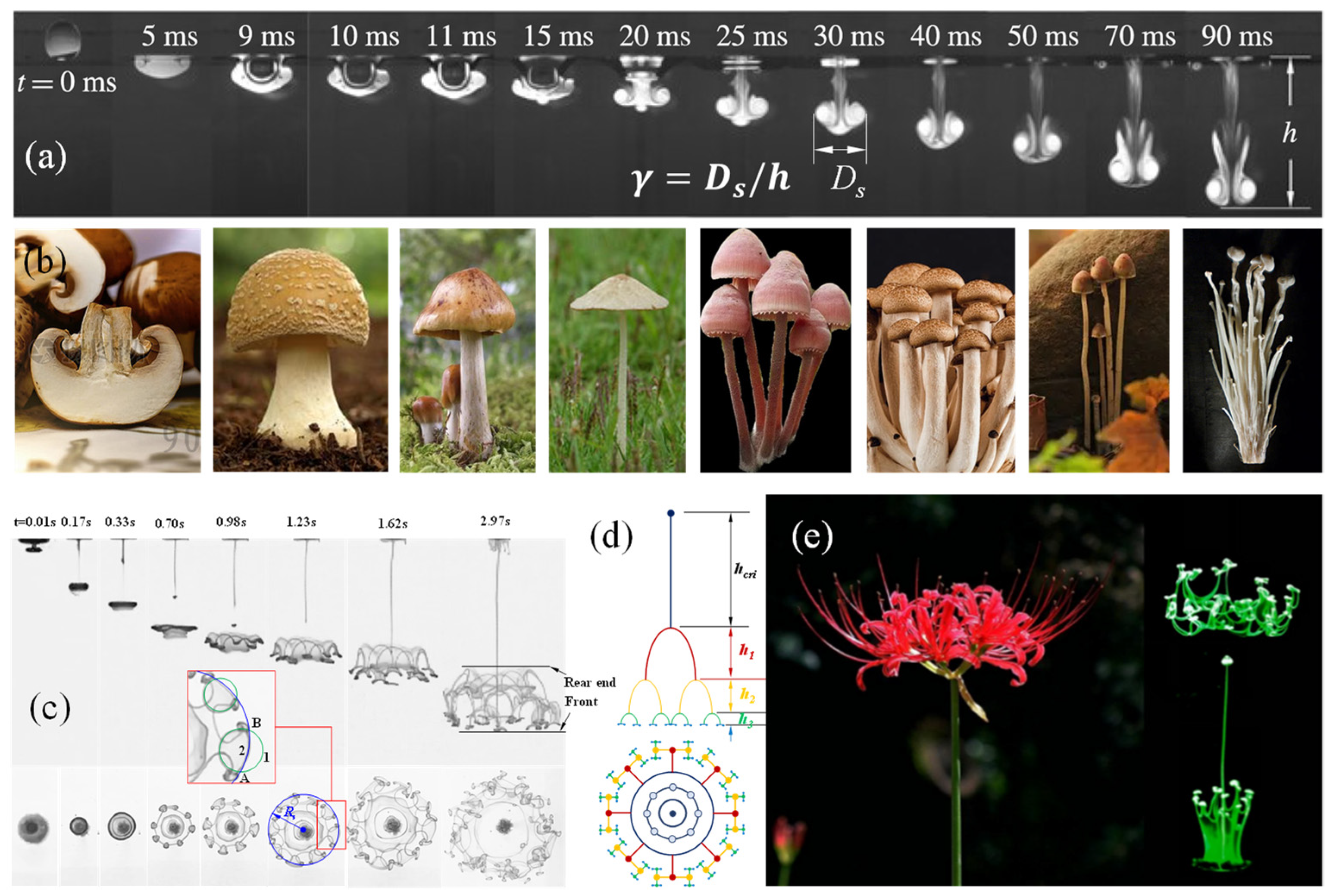 Applsci 12 10930 g001