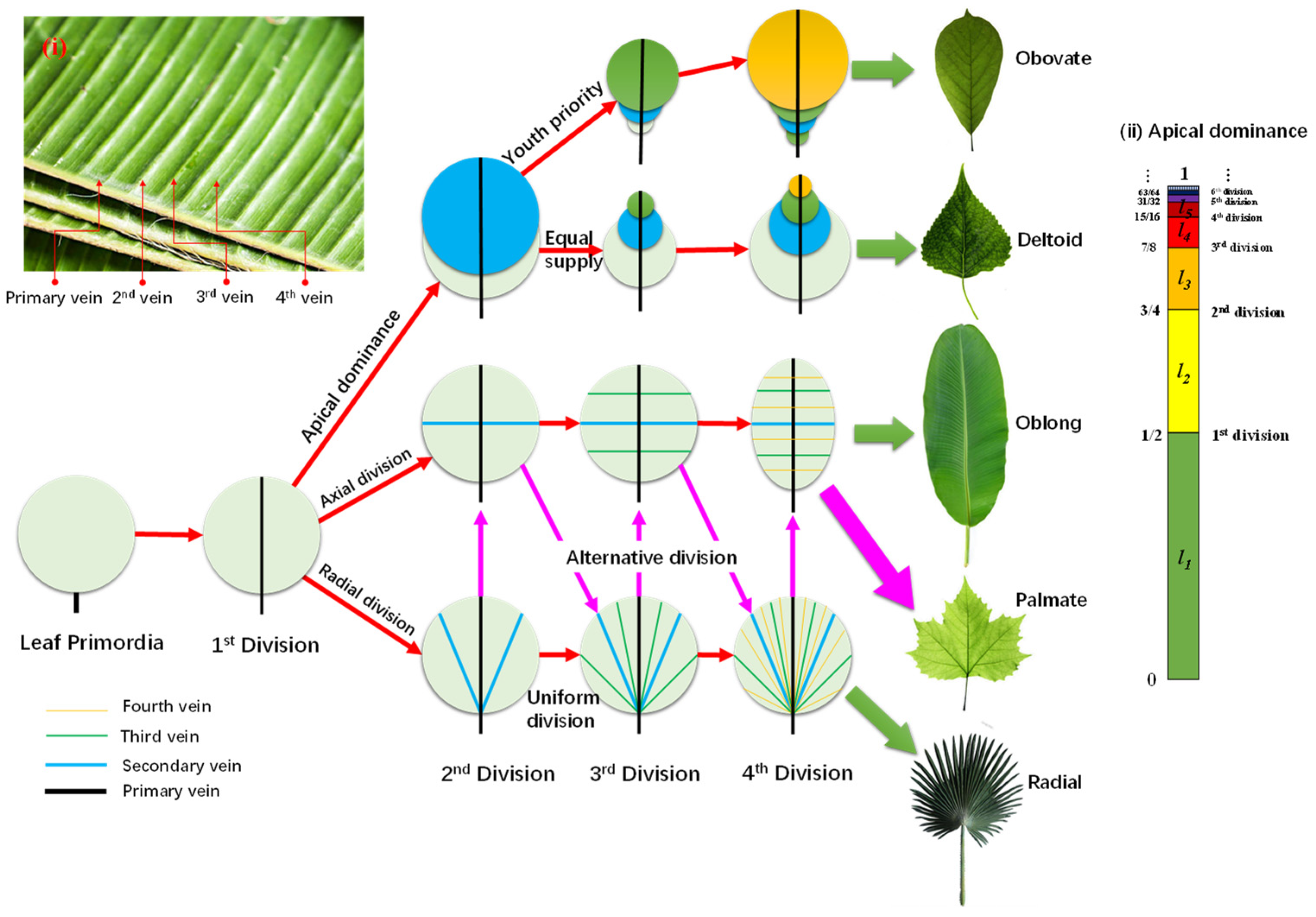 Applsci 12 10930 g002