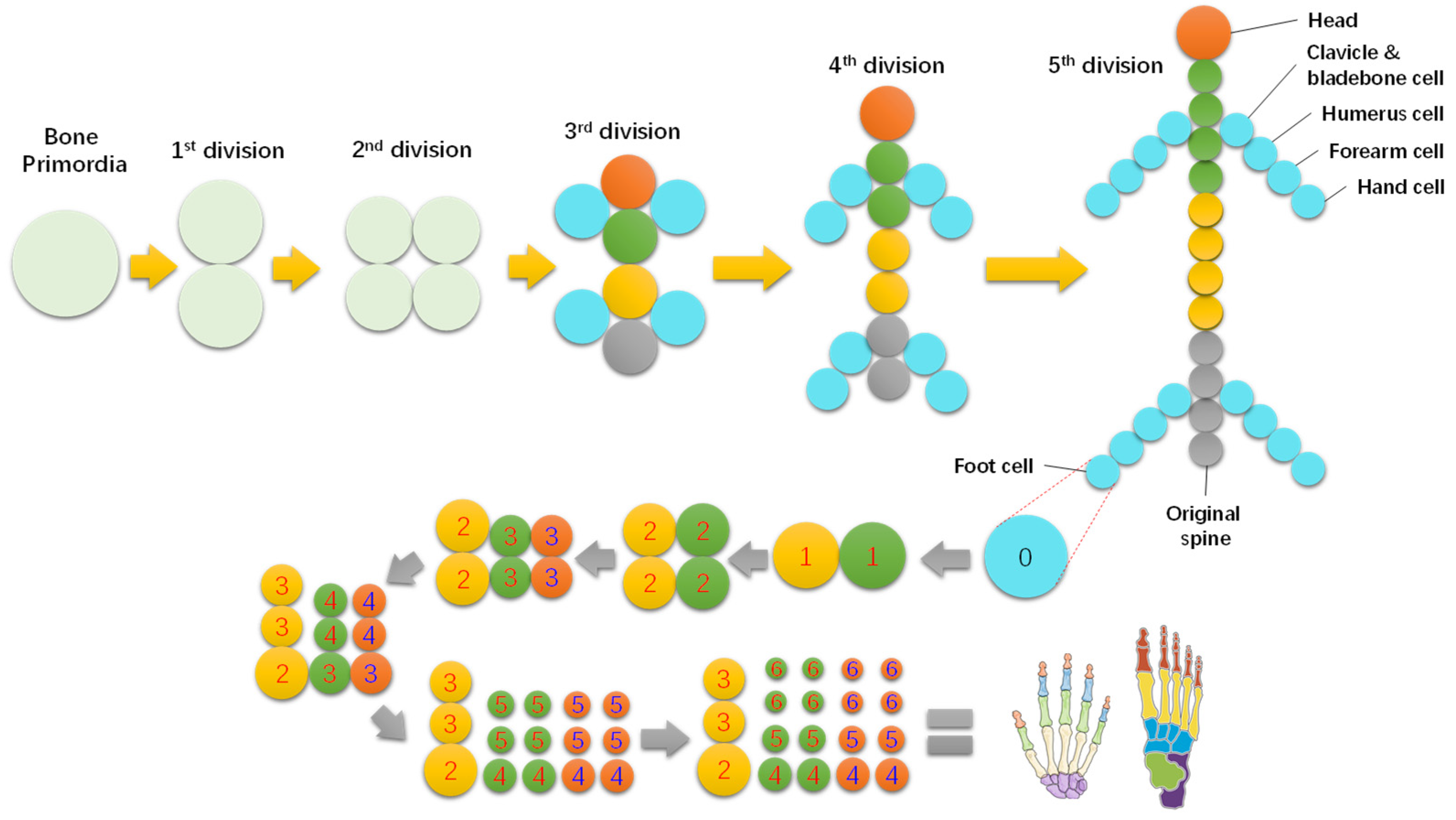 Applsci 12 10930 g003