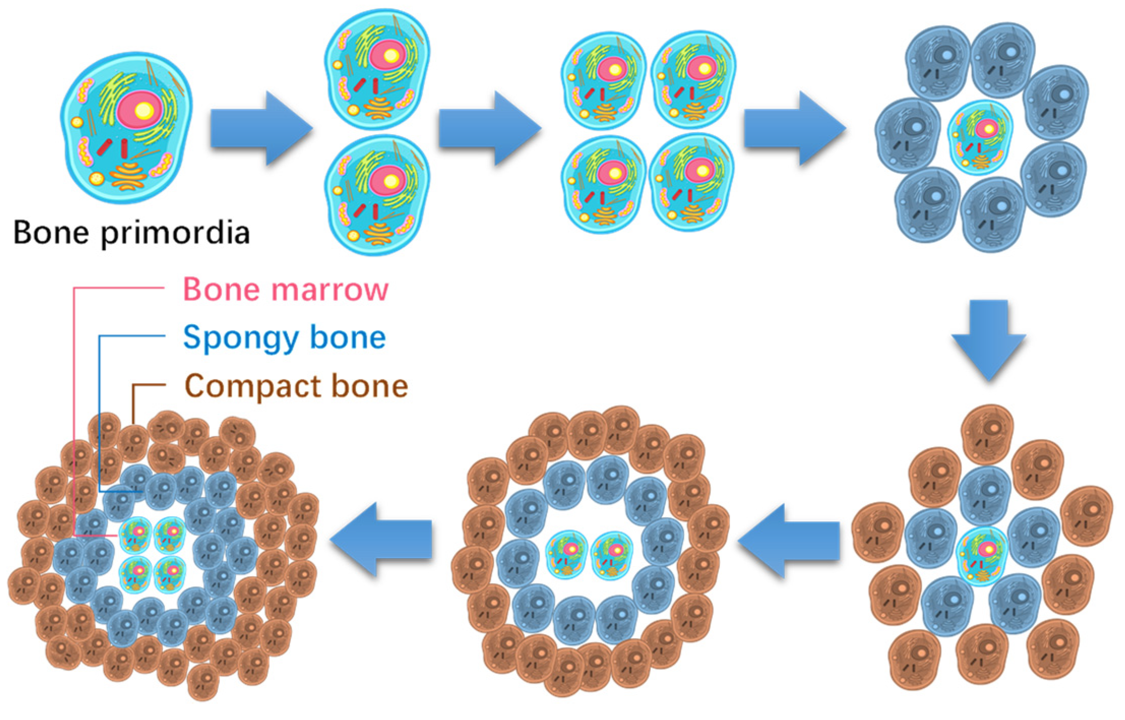 Applsci 12 10930 g005