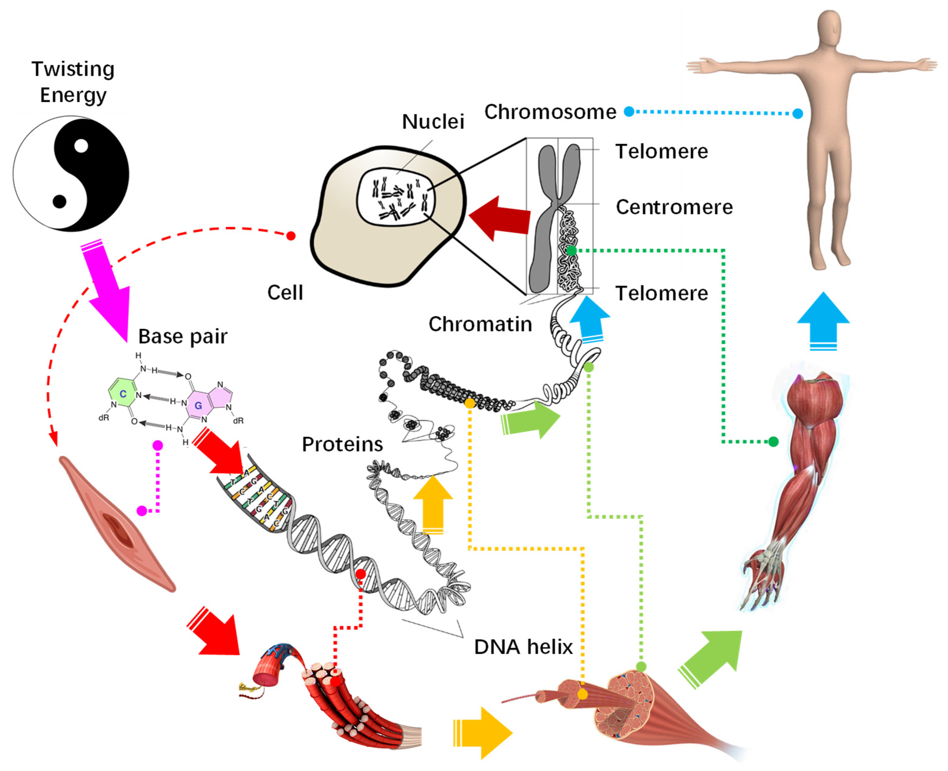 Applsci 12 10930 g008