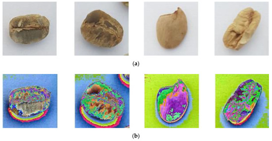 Applied Sciences | Free Full-Text | An Explainable and Lightweight Deep ...