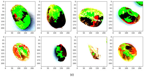 Applied Sciences | Free Full-Text | An Explainable and Lightweight Deep ...