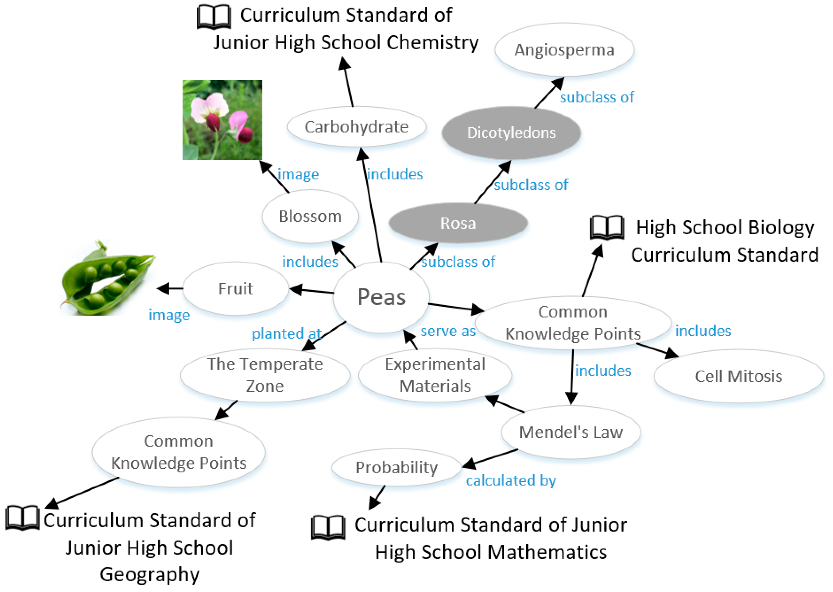 Applied Sciences | Free Full-Text | Dynamic Generation of Knowledge ...