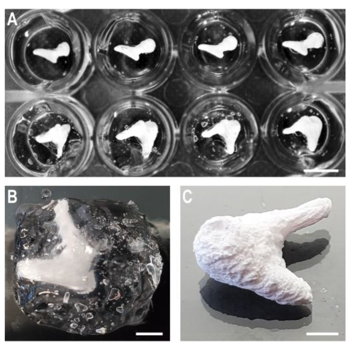 Applsci 12 11015 g004