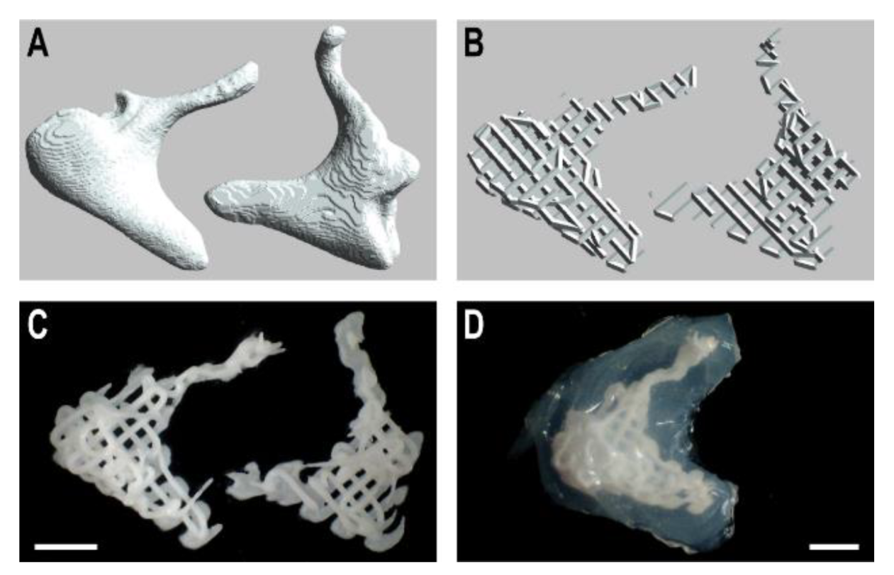 Applsci 12 11015 g005