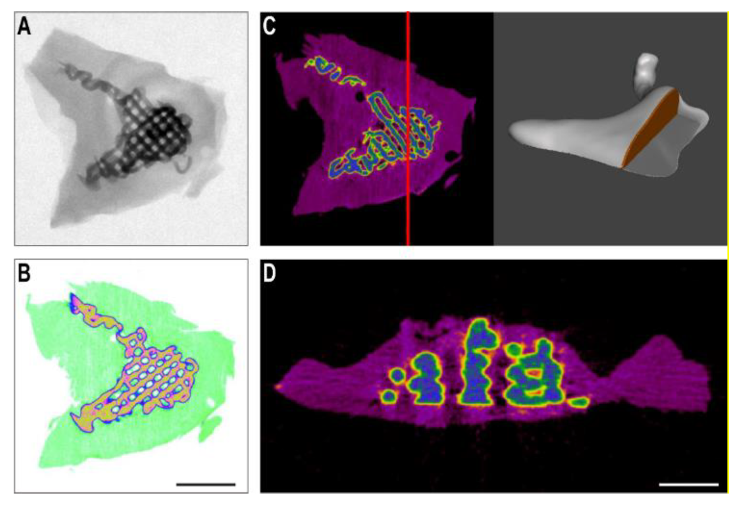 Applsci 12 11015 g006