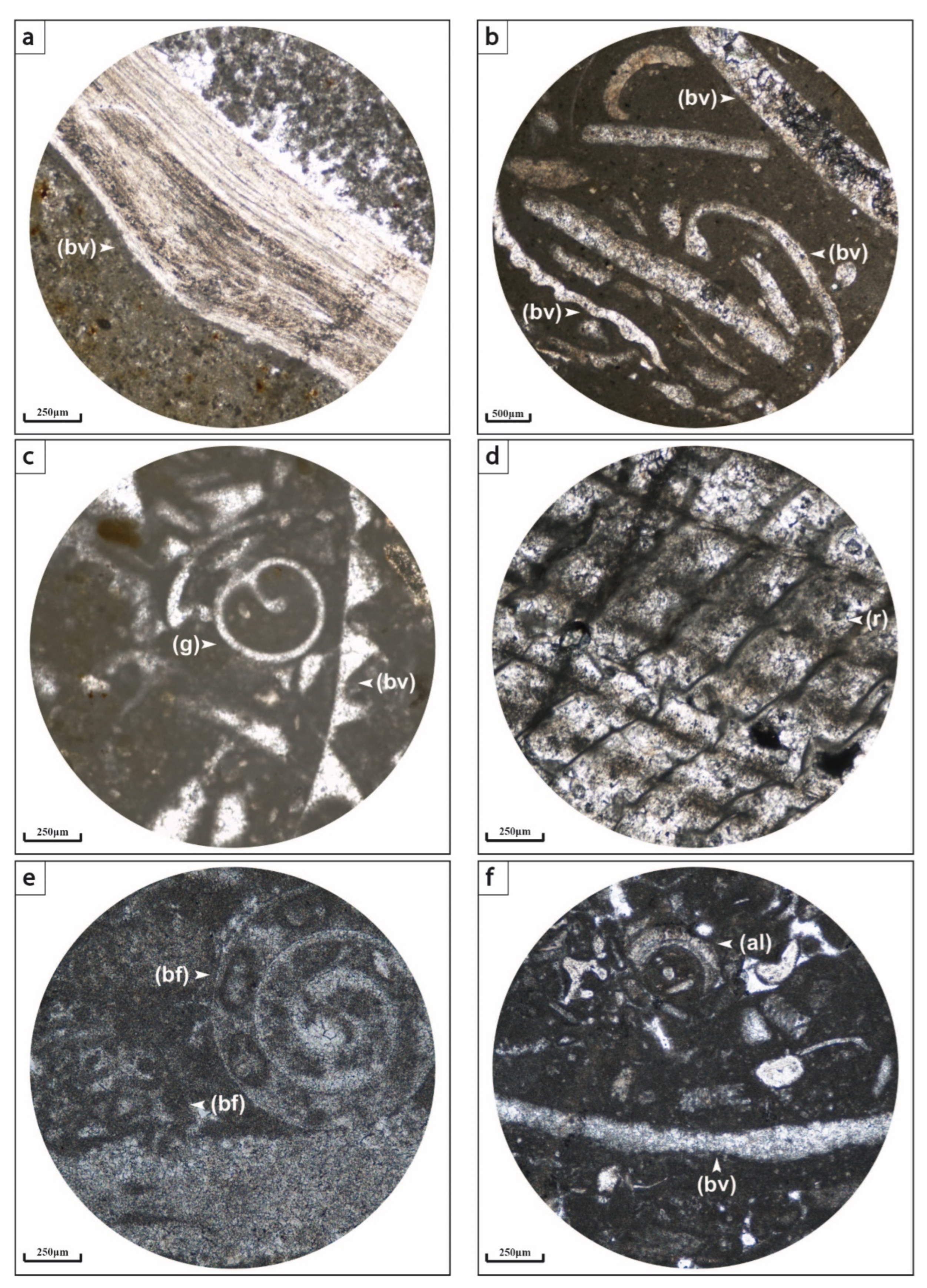 Applsci 12 11048 g004 Applsci 12 11048 g004