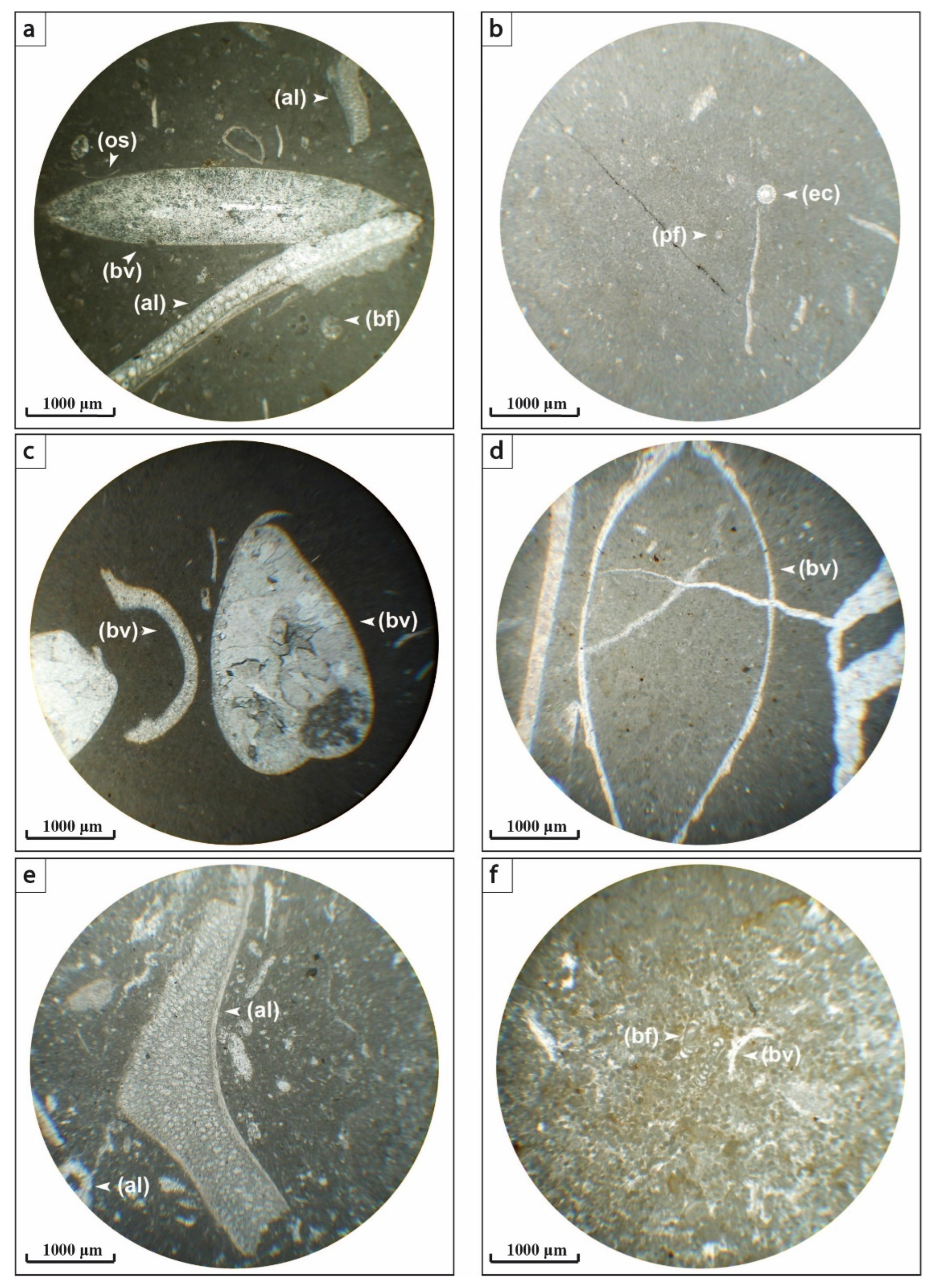 Applsci 12 11048 g006 Applsci 12 11048 g006