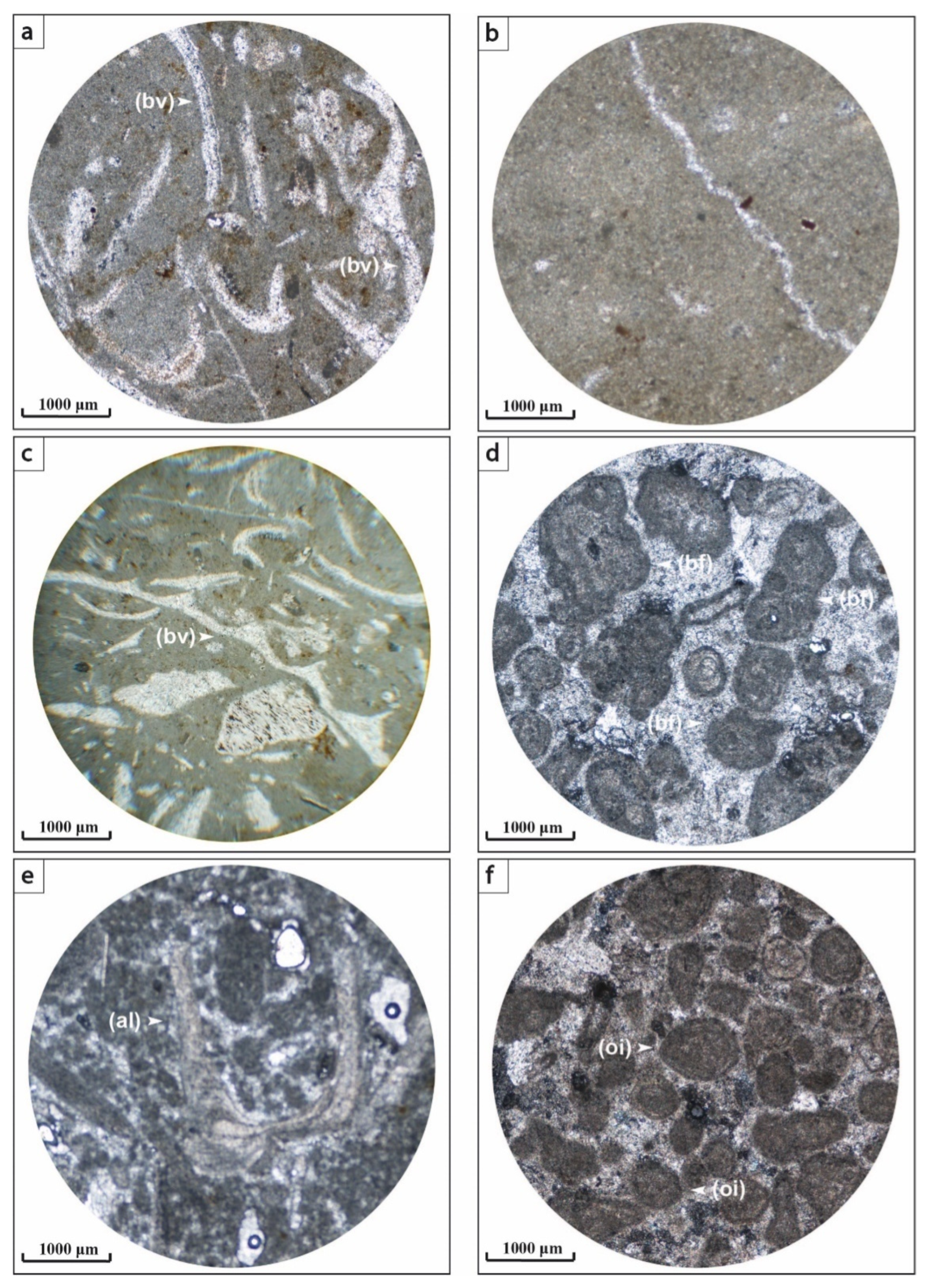 Applsci 12 11048 g008 Applsci 12 11048 g008