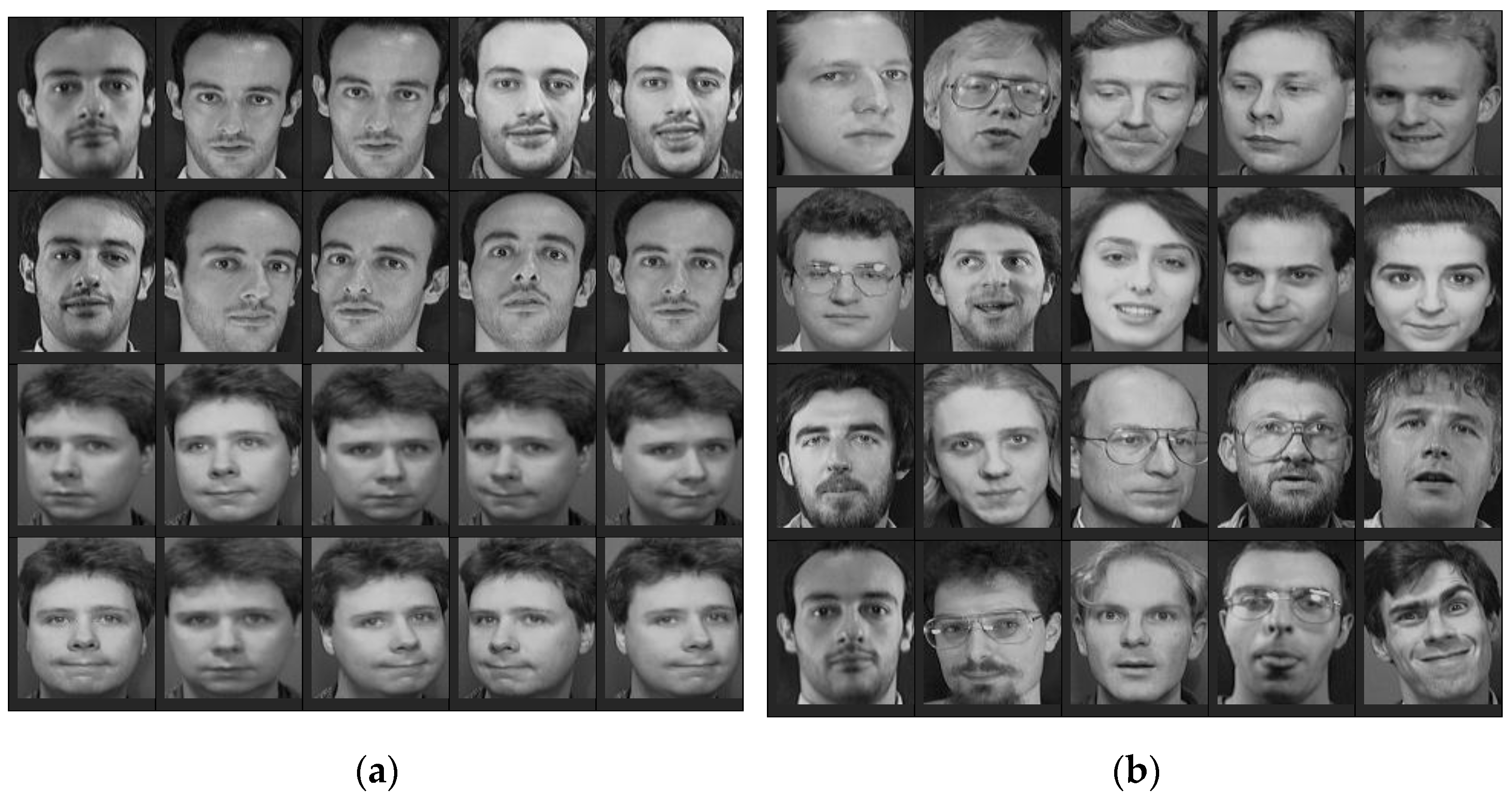 Sample of the face images utilized for the present experiments with... |  Download Scientific Diagram