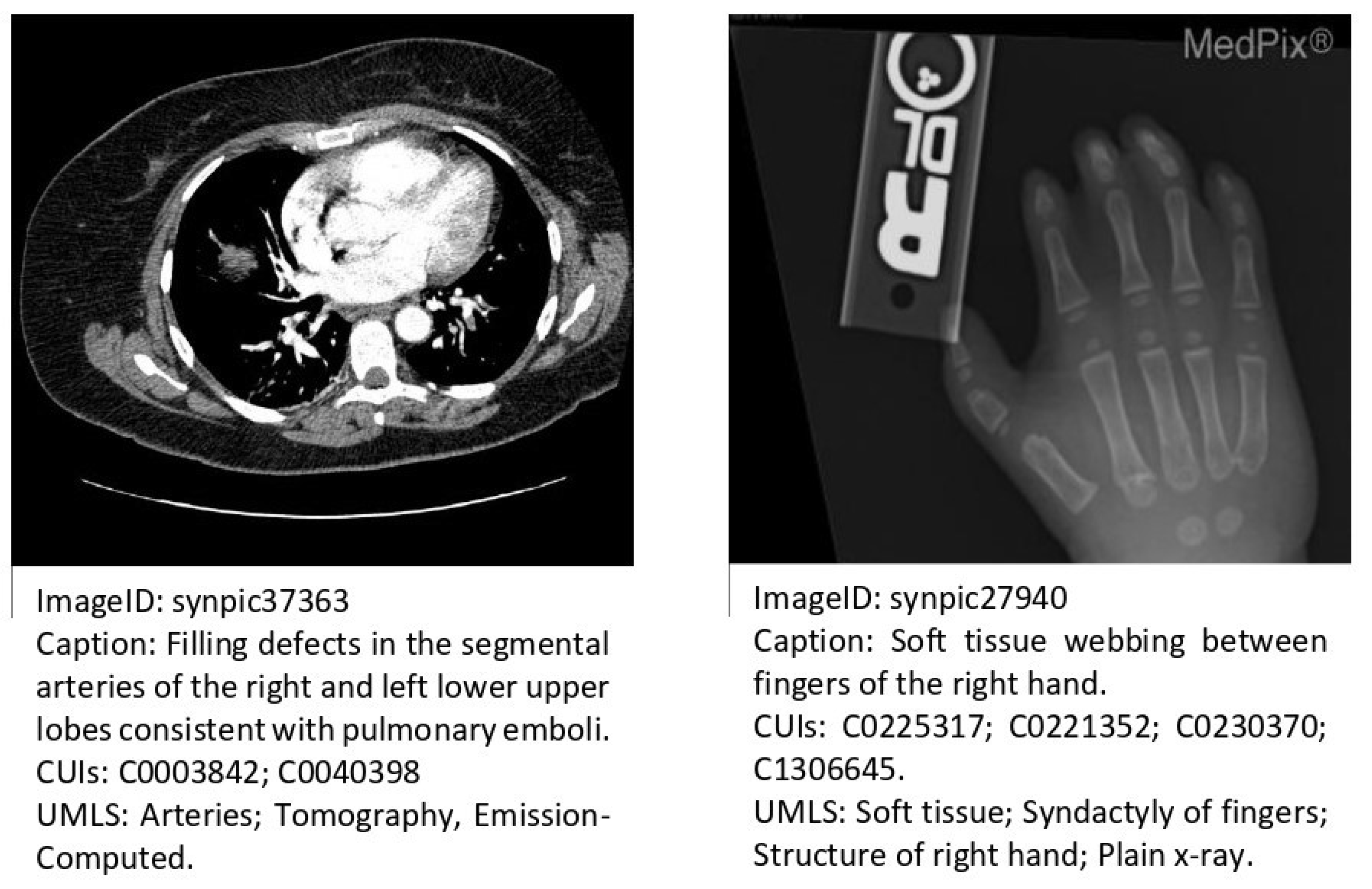 Applsci 12 11092 g005